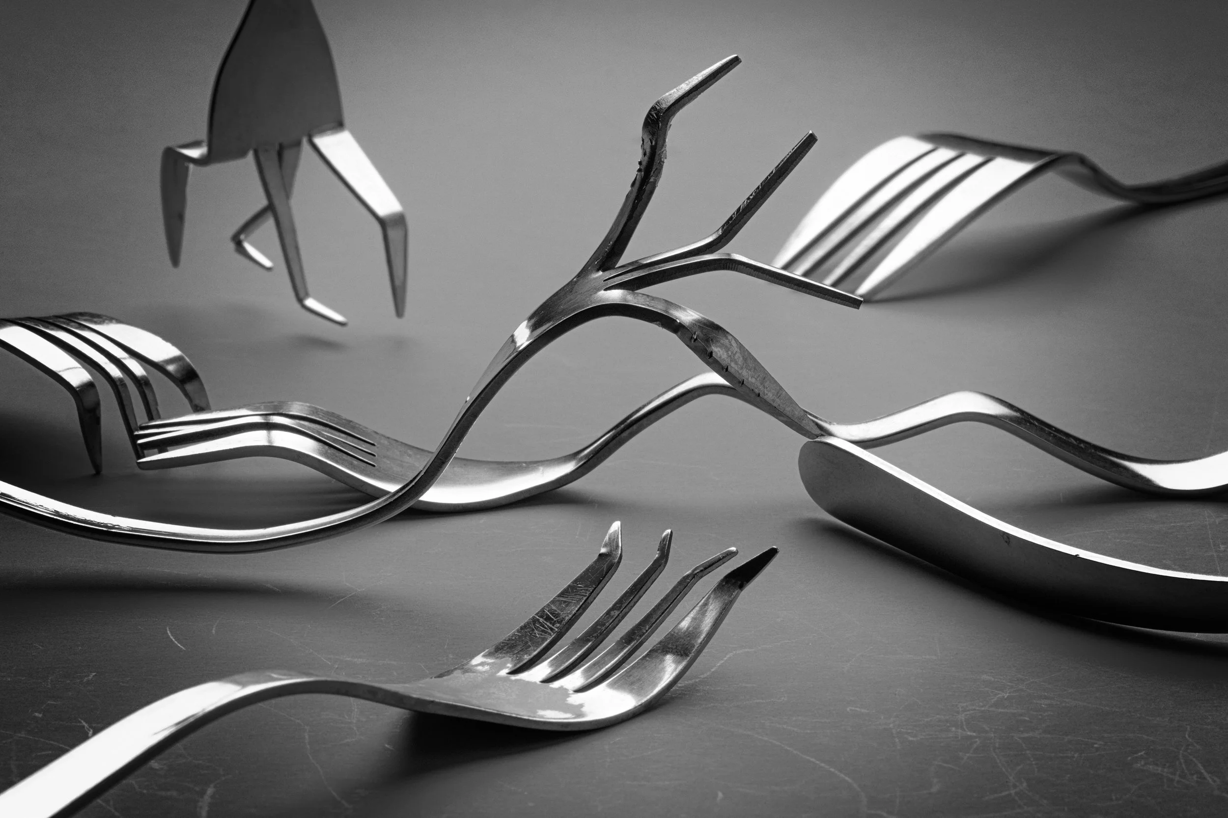 bent-fork-composition-abstract-artistic-still-life.JPG