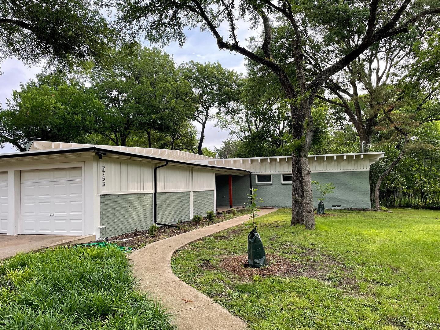 Bringing the outdoors in with Sherwin Williams Evergreen Fog. This soothing shade of green complements the sleek lines and natural textures of this Mid Century Modern home in Dallas, creating a harmonious blend of nature and modern design. #SherwinWi