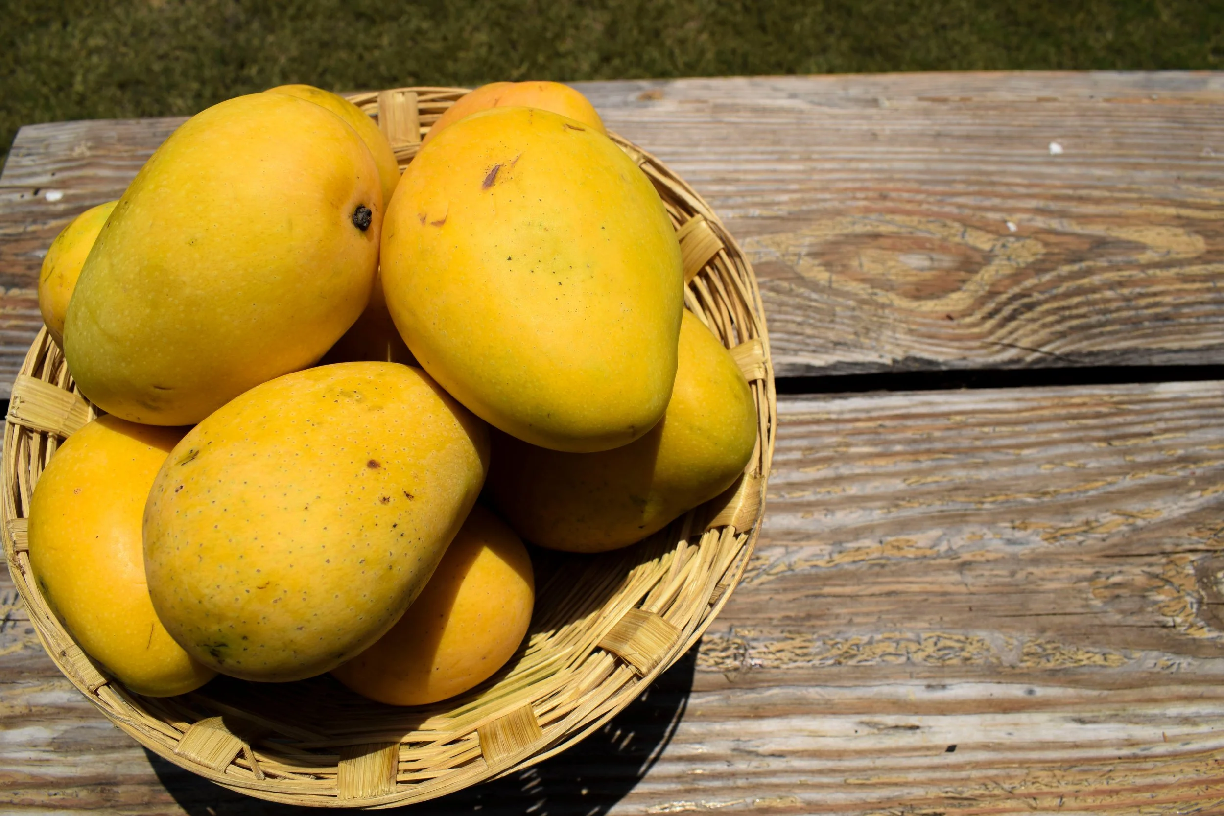 MANGO BUTTER - The silky-soft, lightweight butter that nourishes, smooths, and melts effortlessly into the skin.