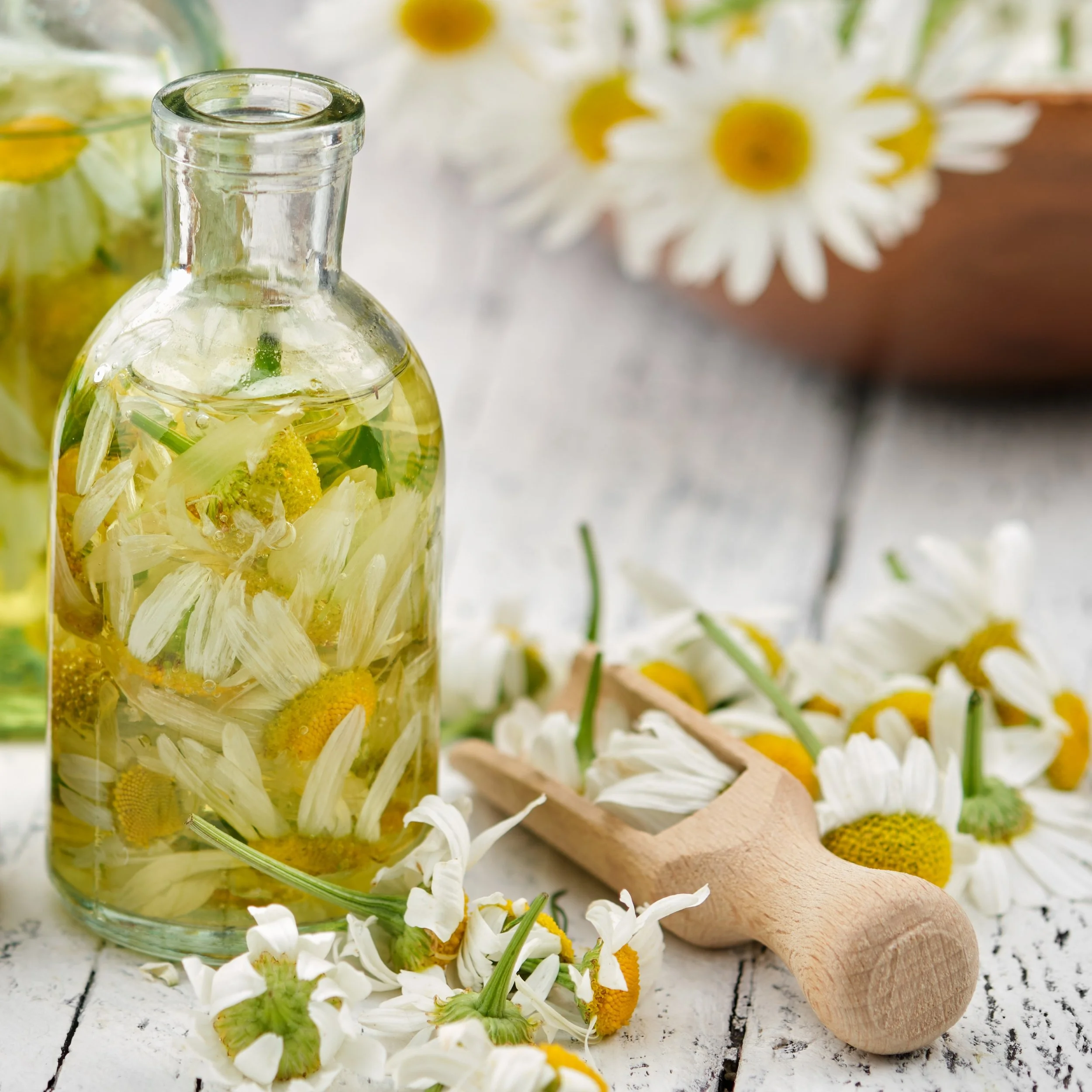 Roman Chamomile Hydrosol — Calming, Gentle Hydration for Sensitive Skin