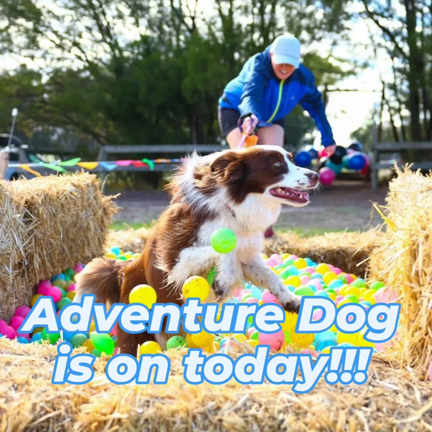 🐾 Adventure Dog is TODAY 🐾

Get ready for a day full of fun, pups, and excitement! Whether you&rsquo;re running the course or just coming along to cheer, bring a friend, explore the Event Village, and enjoy food and drinks while soaking up the atmo