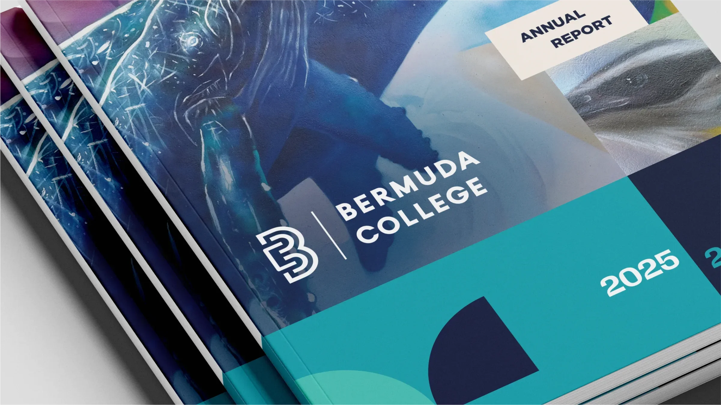 Bermuda College