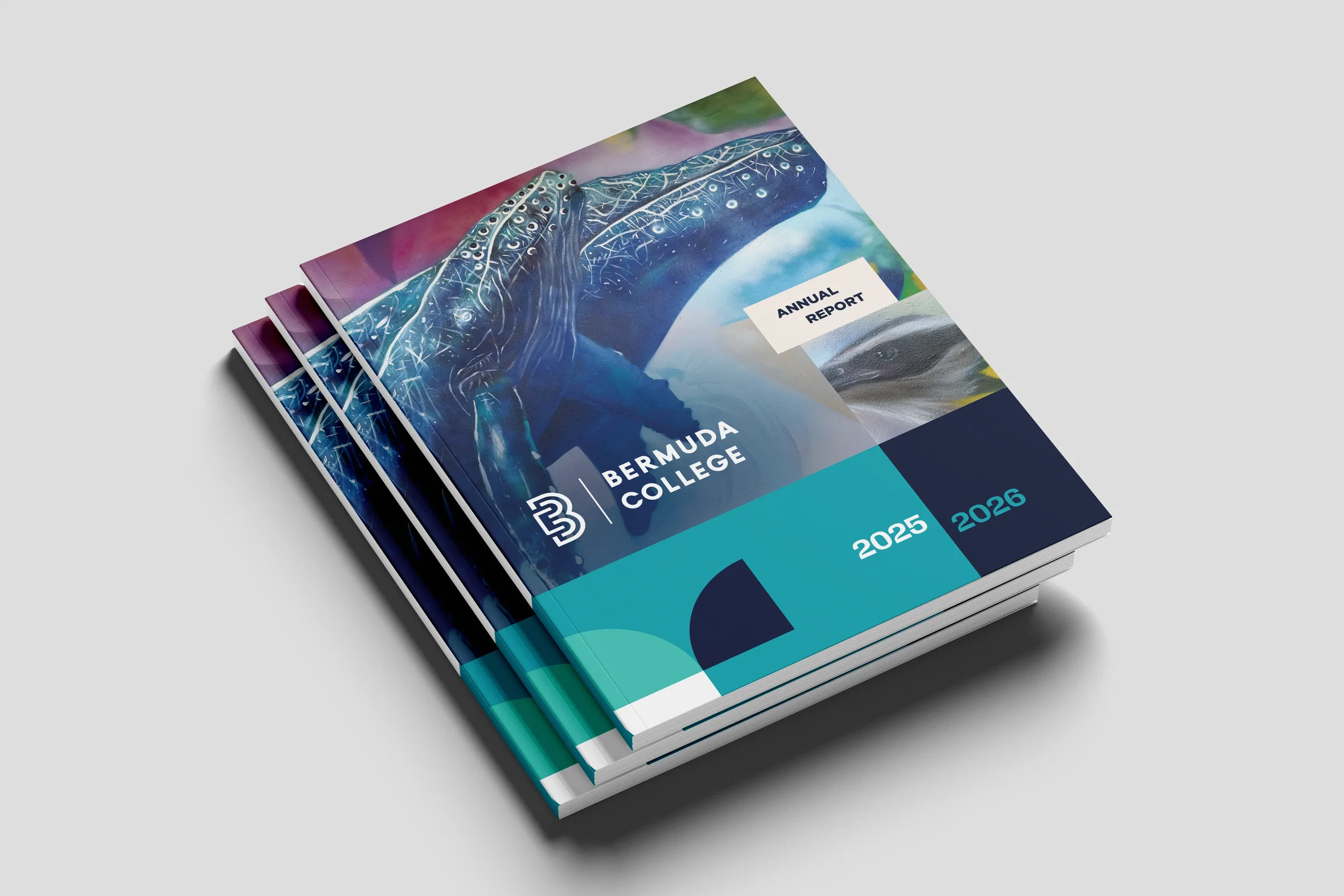 Bermuda College Annual Report Two Point O Bermuda Corporate Report Design