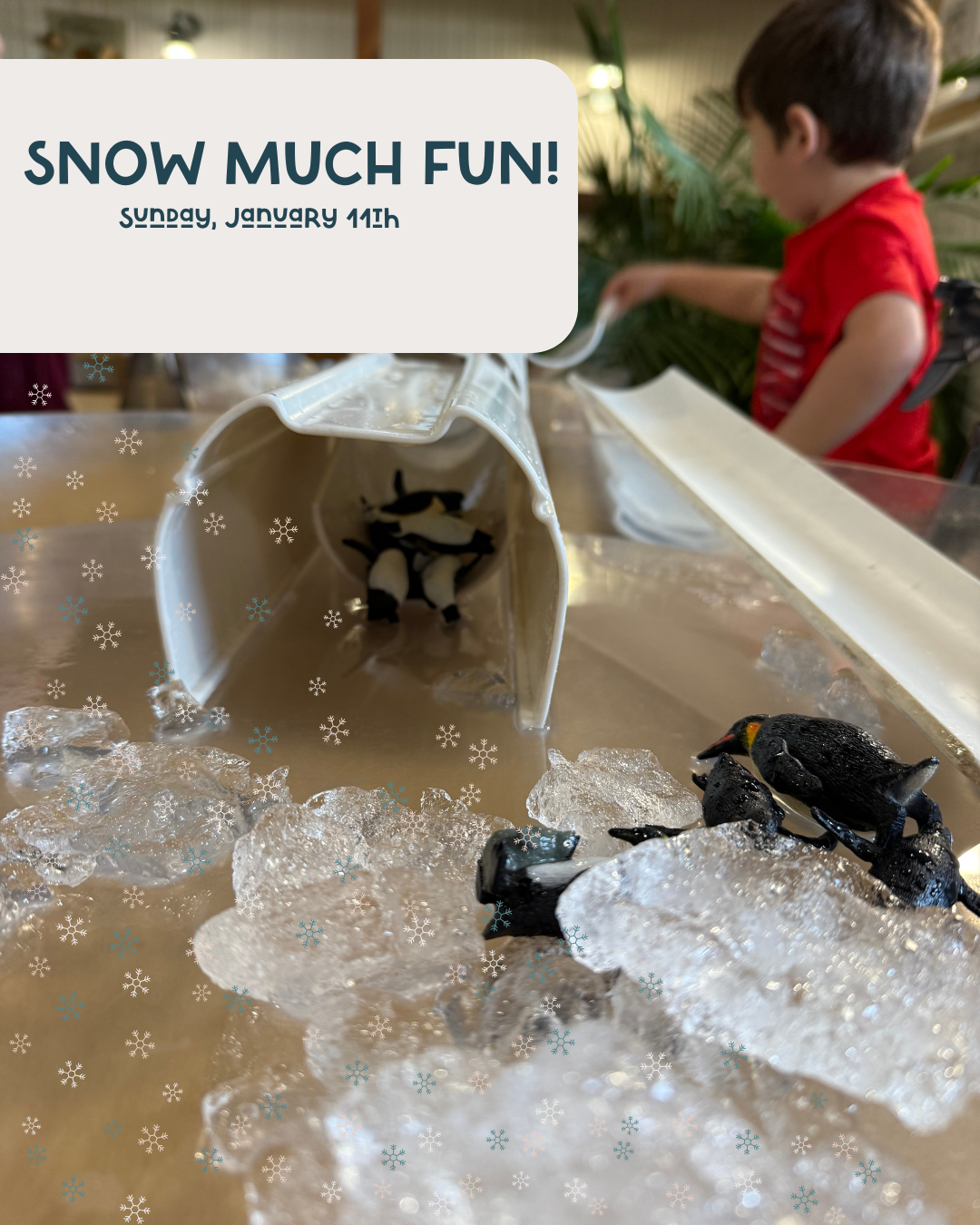 Snow Much Fun! Sensory Festival