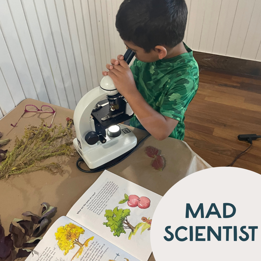 Mad Scientist 