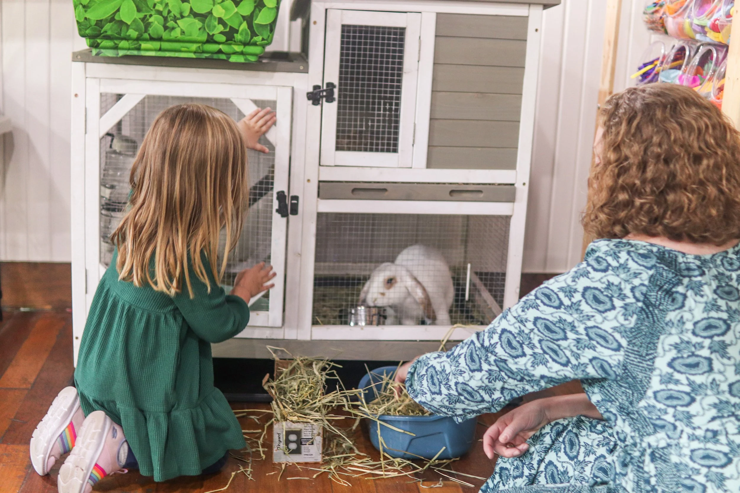 Animals at MHK Play Studio