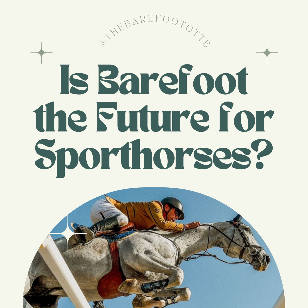 Is Barefoot the Future for Sporthorses?