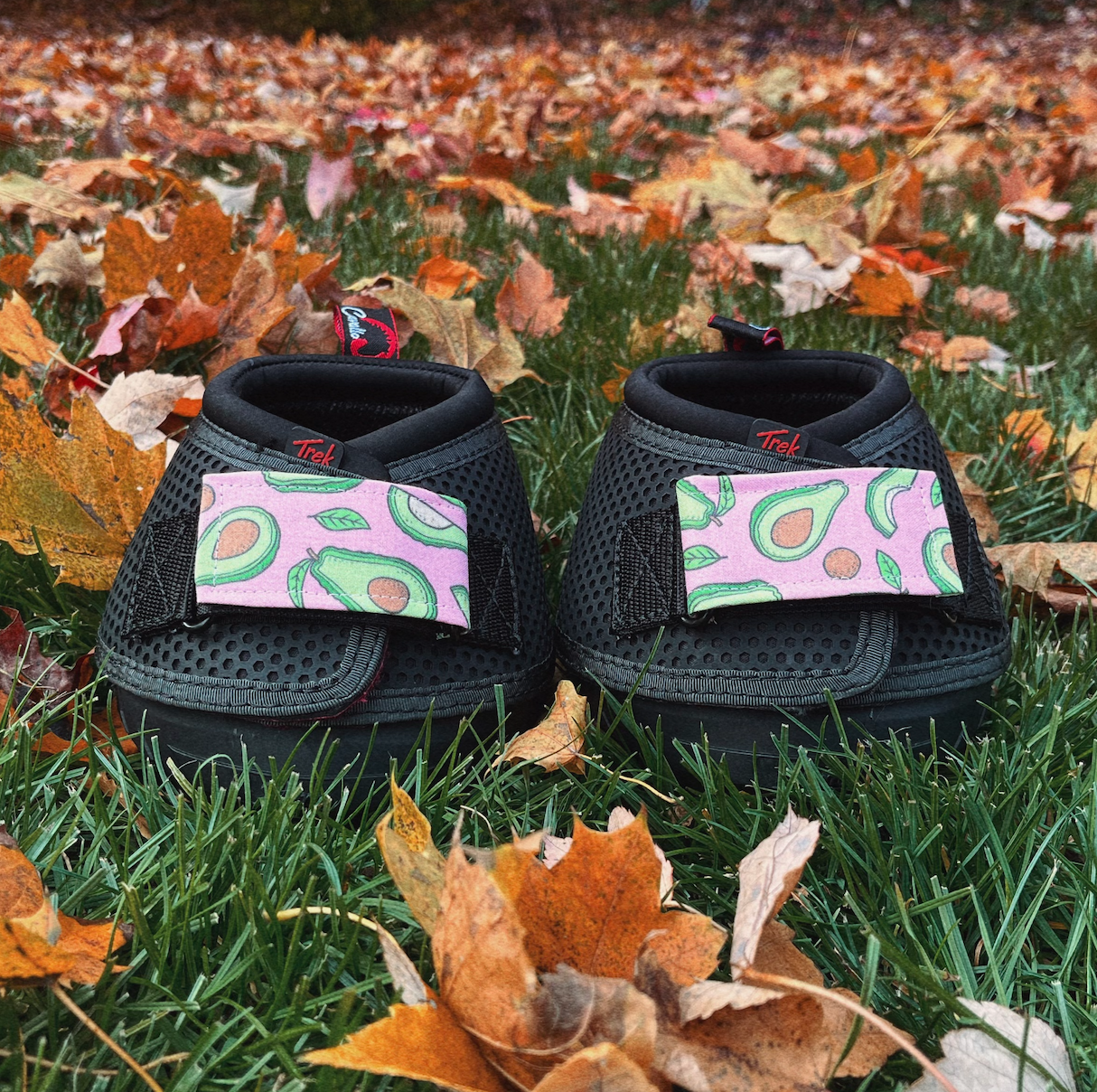 Avocado Hoof Boot Straps