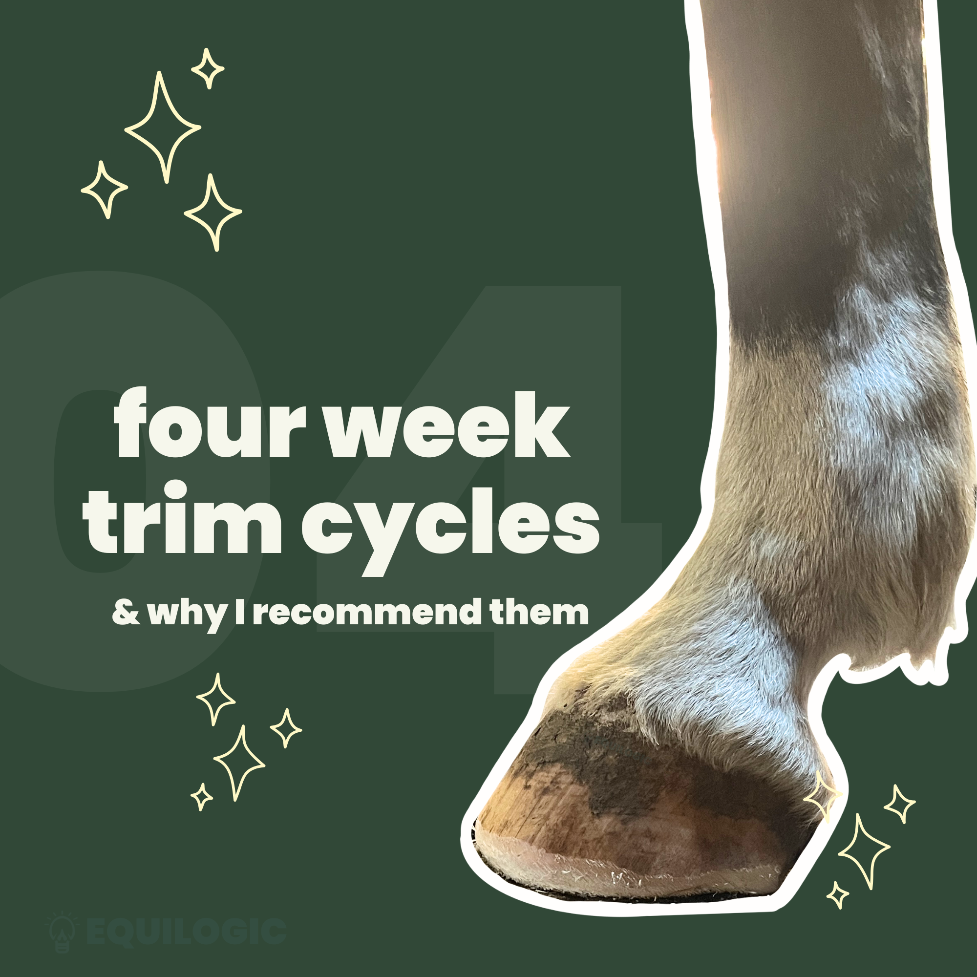 Four-Week Trim Cycles