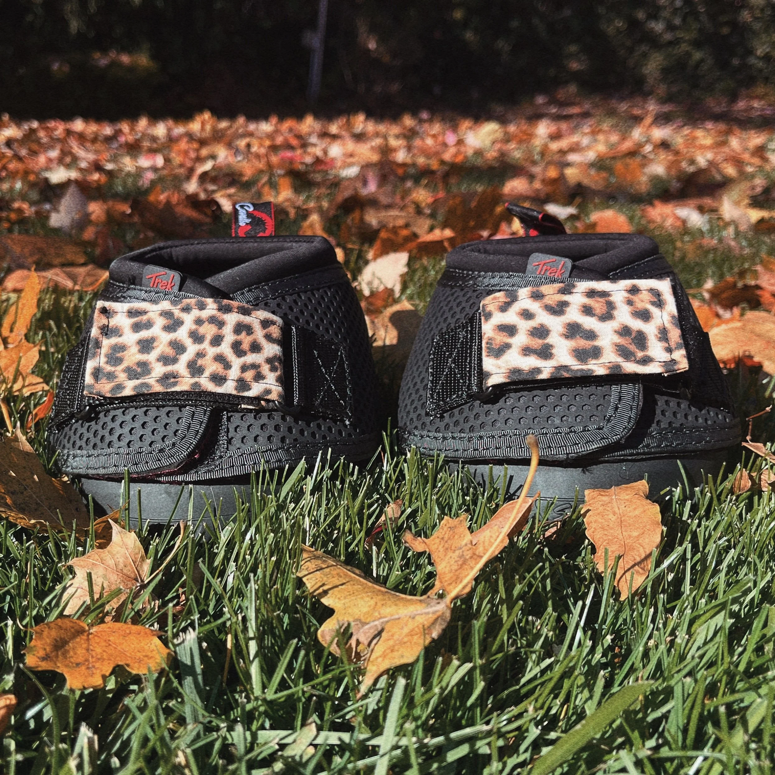 Cheetah Hoof Boot Straps