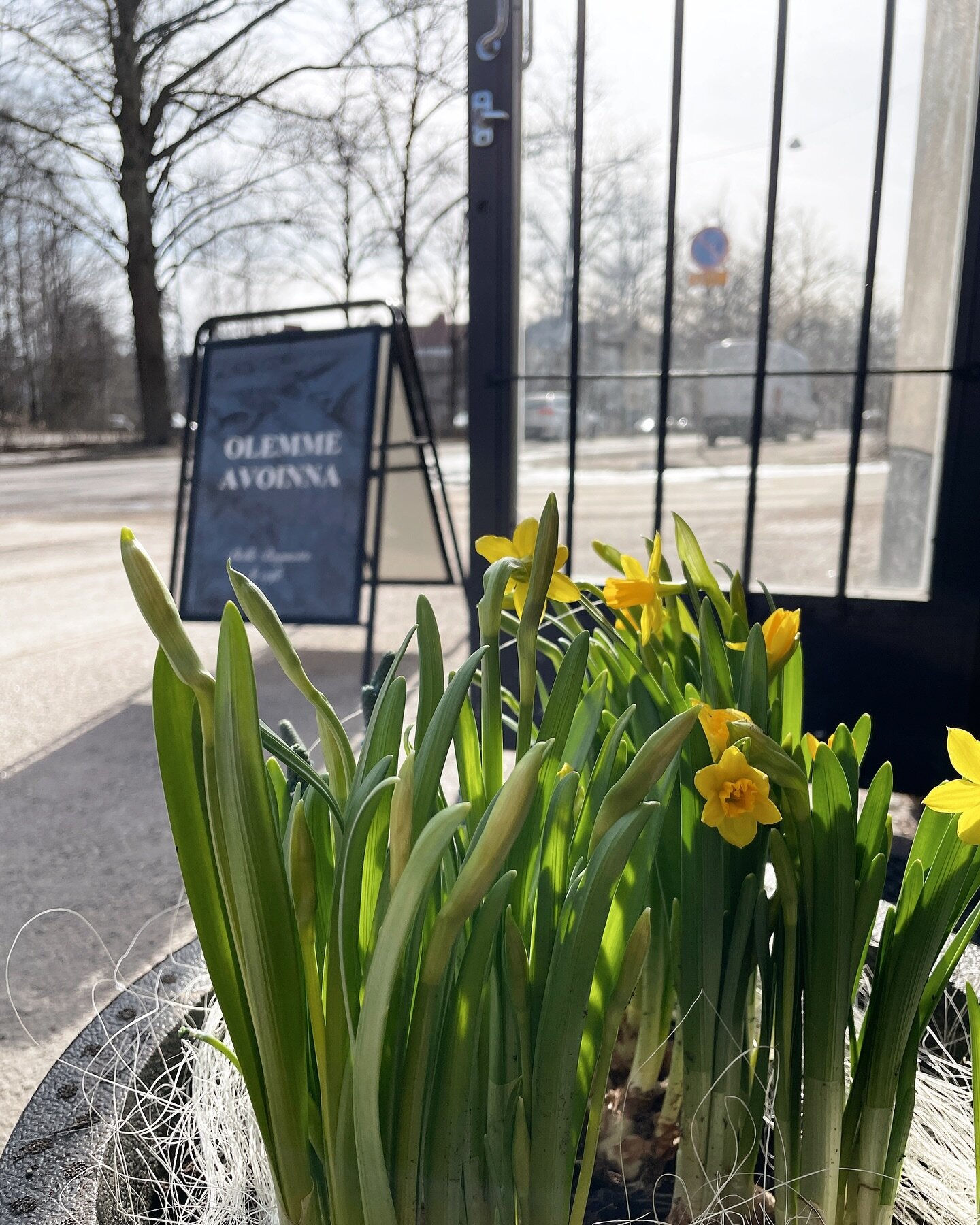 Huomenna lankalauantaina kahvilamme ovat avoinna normaalisti 9-17 💛 ☕️

Leipomoauto kiert&auml;&auml; my&ouml;s tutun reitin! Puotila-Aurinkolahti &amp; ennakkotilauksella Landbo-Sipoonranta-Nikkil&auml;-S&ouml;derkulla 💛 Tee ennakkotilaus osoittee