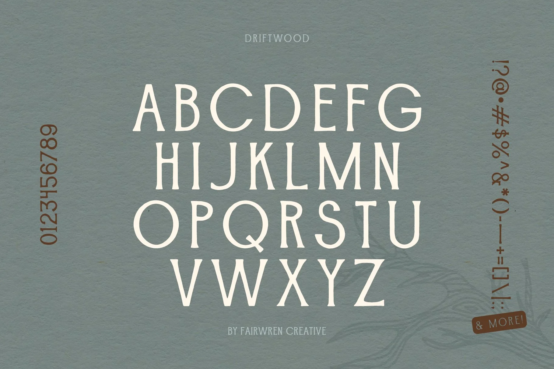 Driftwood_font_slides2-02.jpg