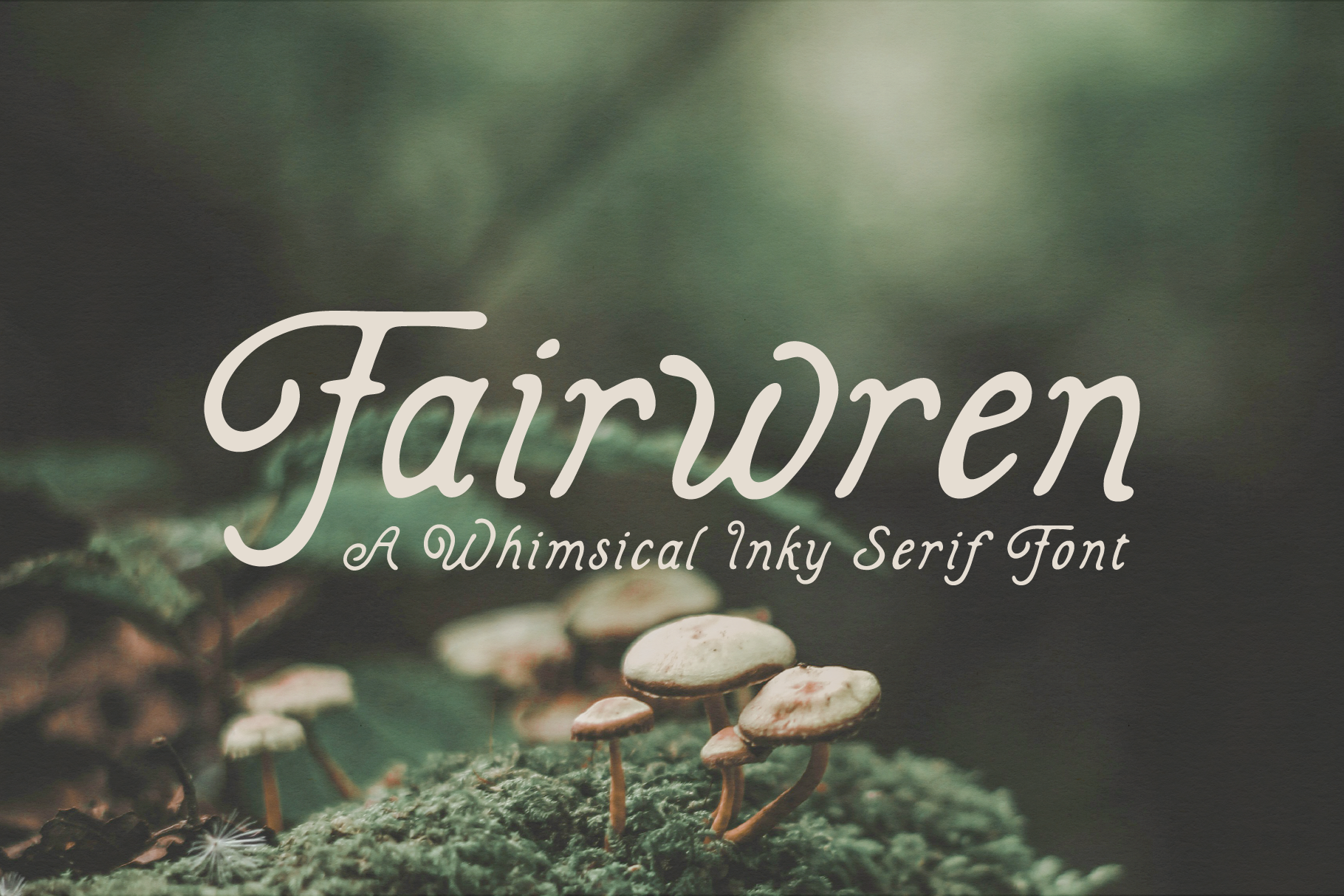Fairwren