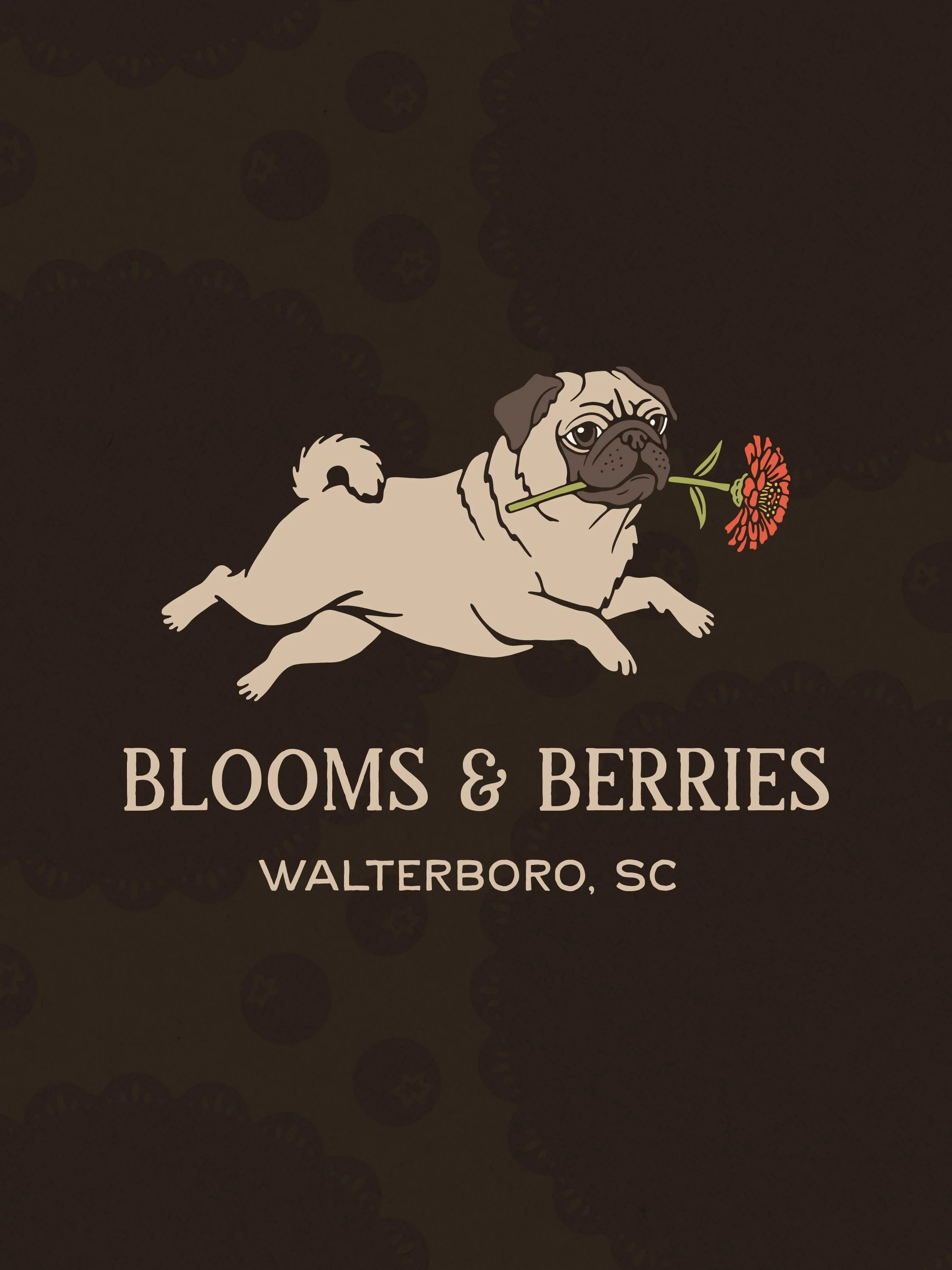 Introducing @bloomsandberries_sc 🌻🫐🌼
.
.
.
This past month I designed the brand identity for my friends at Blooms &amp; Berries. I may have just told them I got this and then ran wild. I knew we needed to make mascots out of their beloved pugs, Ma