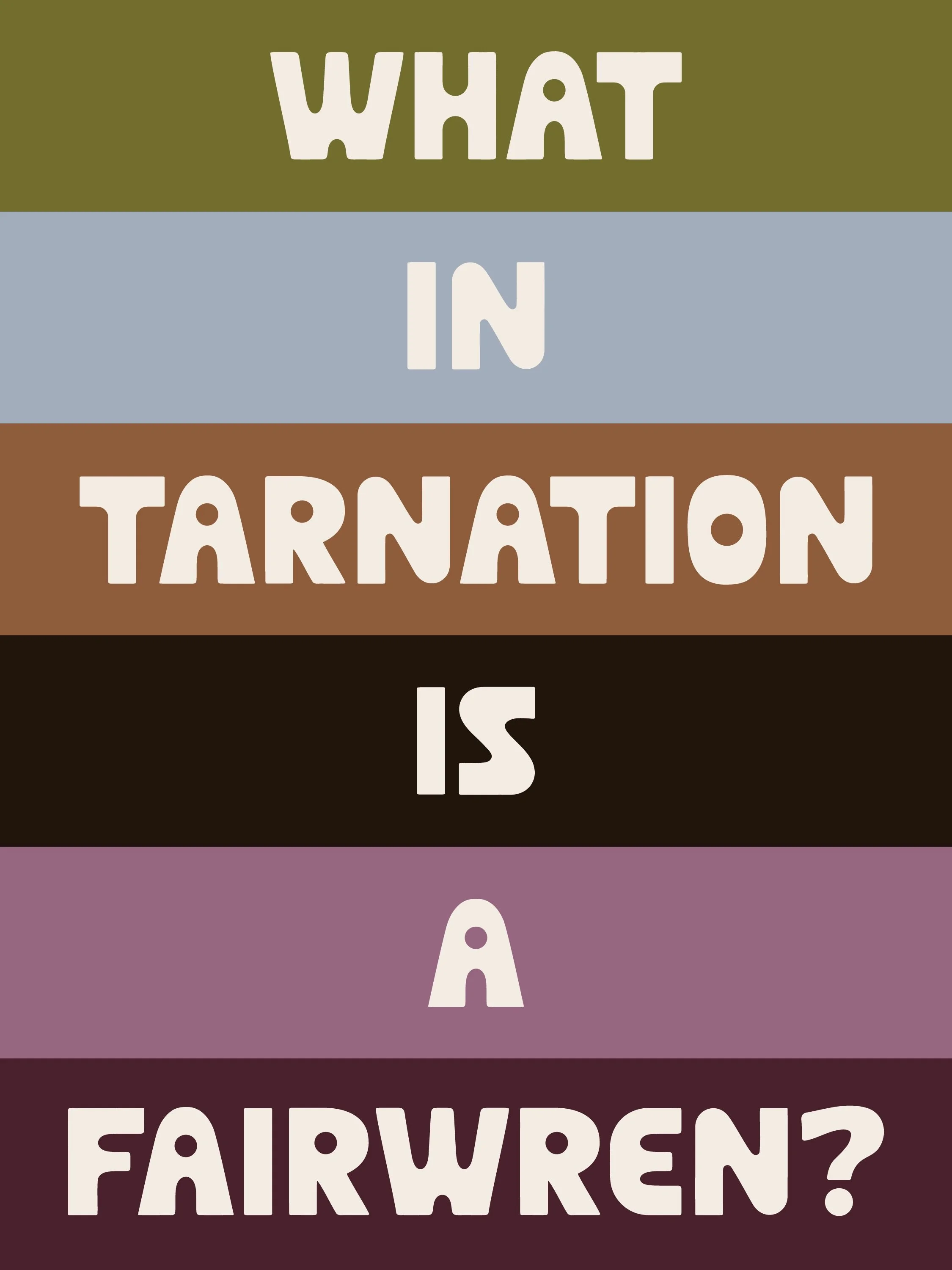 What in tarnation is a Fairwren?

Let&rsquo;s unpack it. ➡️

Fun fact: Fairwren started life as a typeface name. 
When it became our most-loved font, it felt right to give the whole studio that same spirit.

So nice, we named it twice. ✨

FAIR comes 