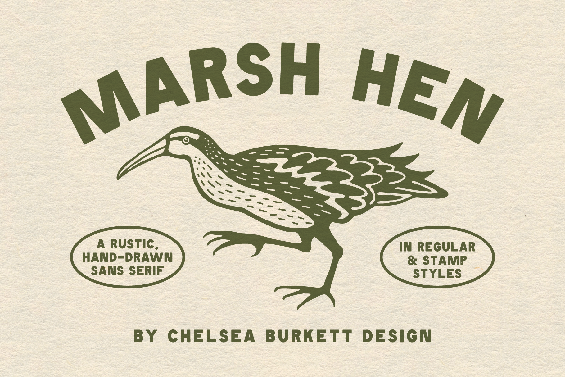 Marsh Hen