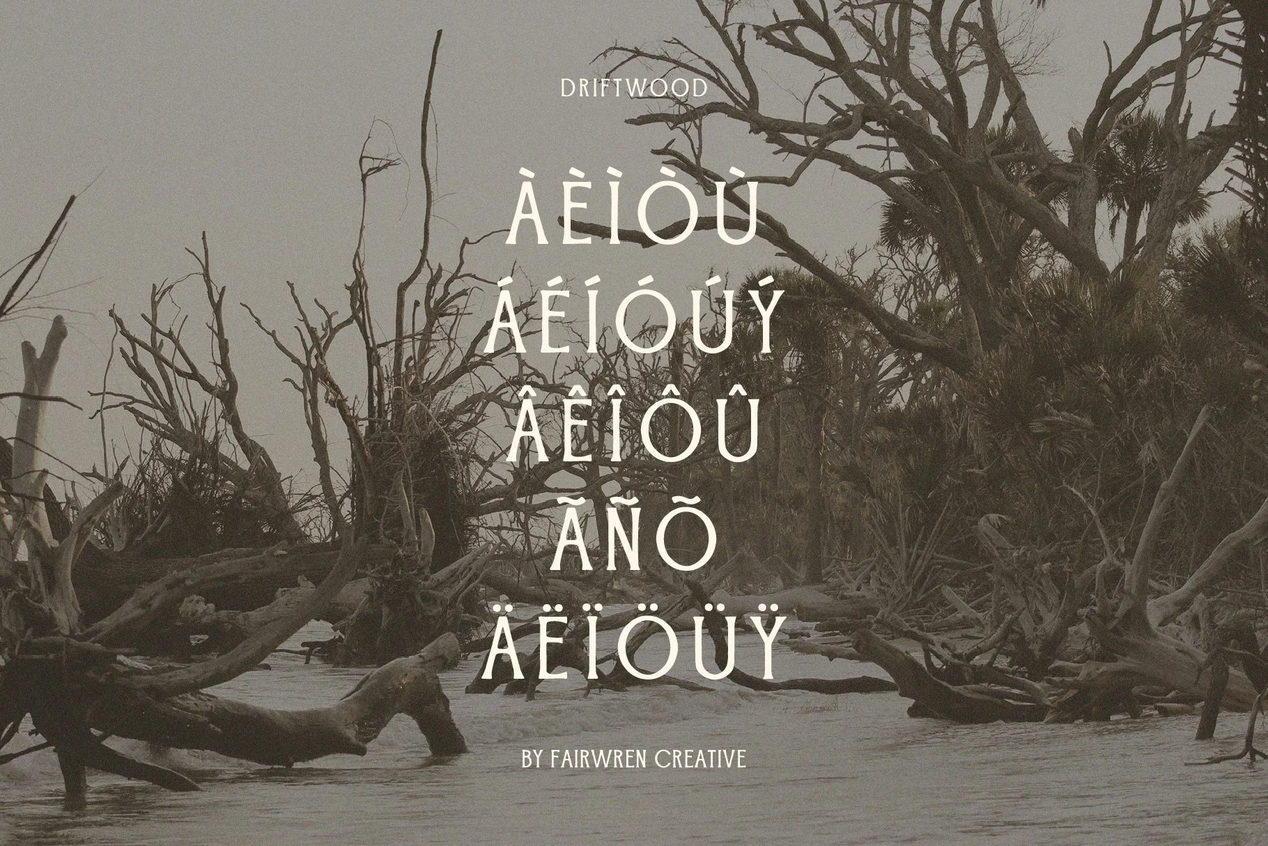 Driftwood_font_slides2-03.jpg
