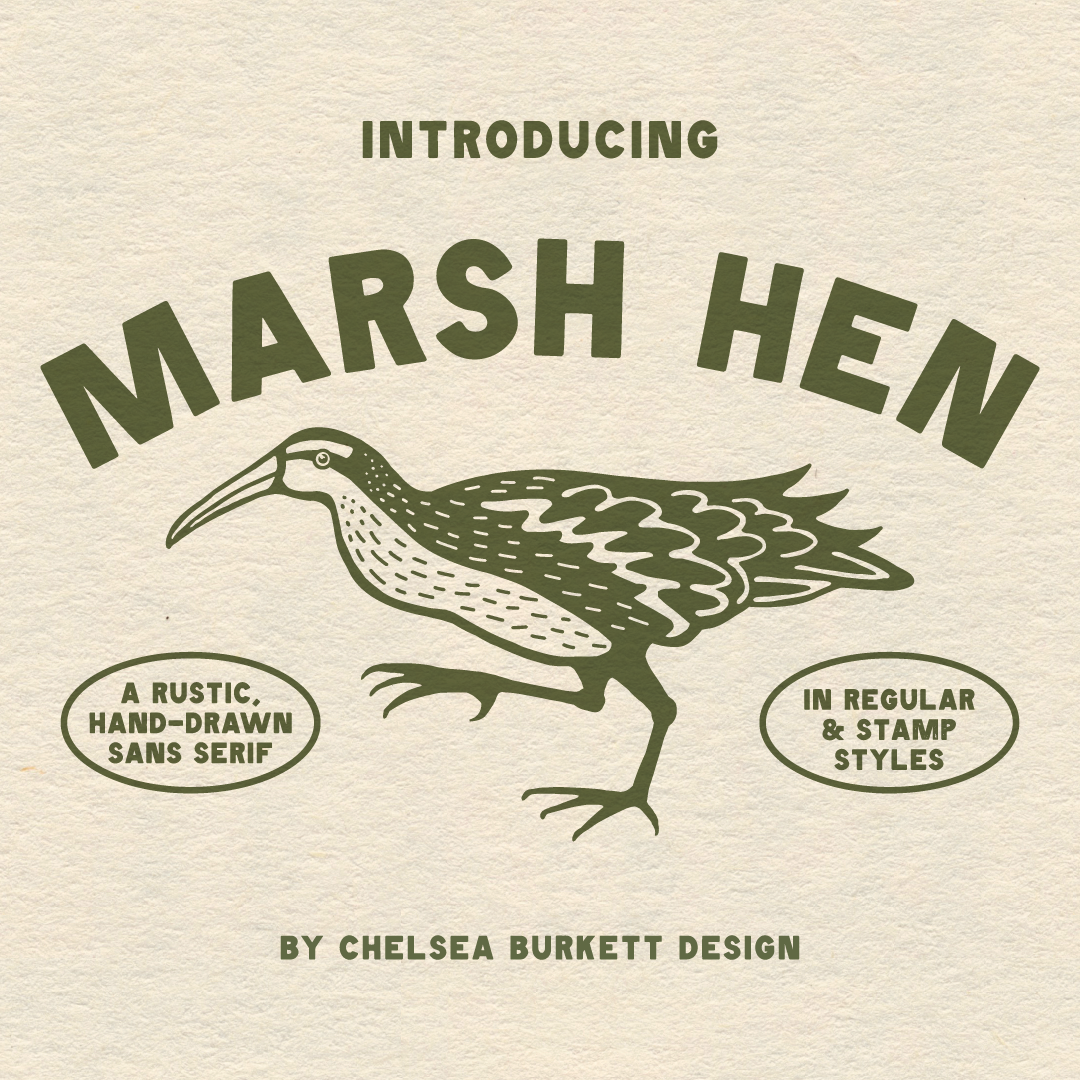 Marsh Hen