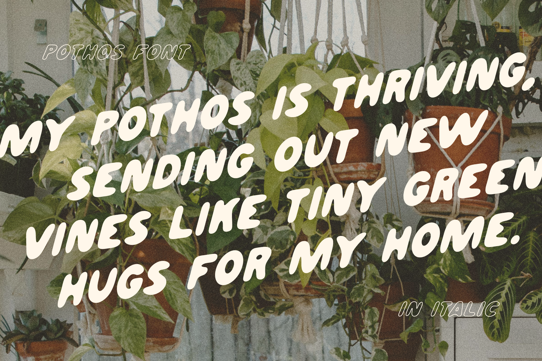 Pothos_font_slides_06.png