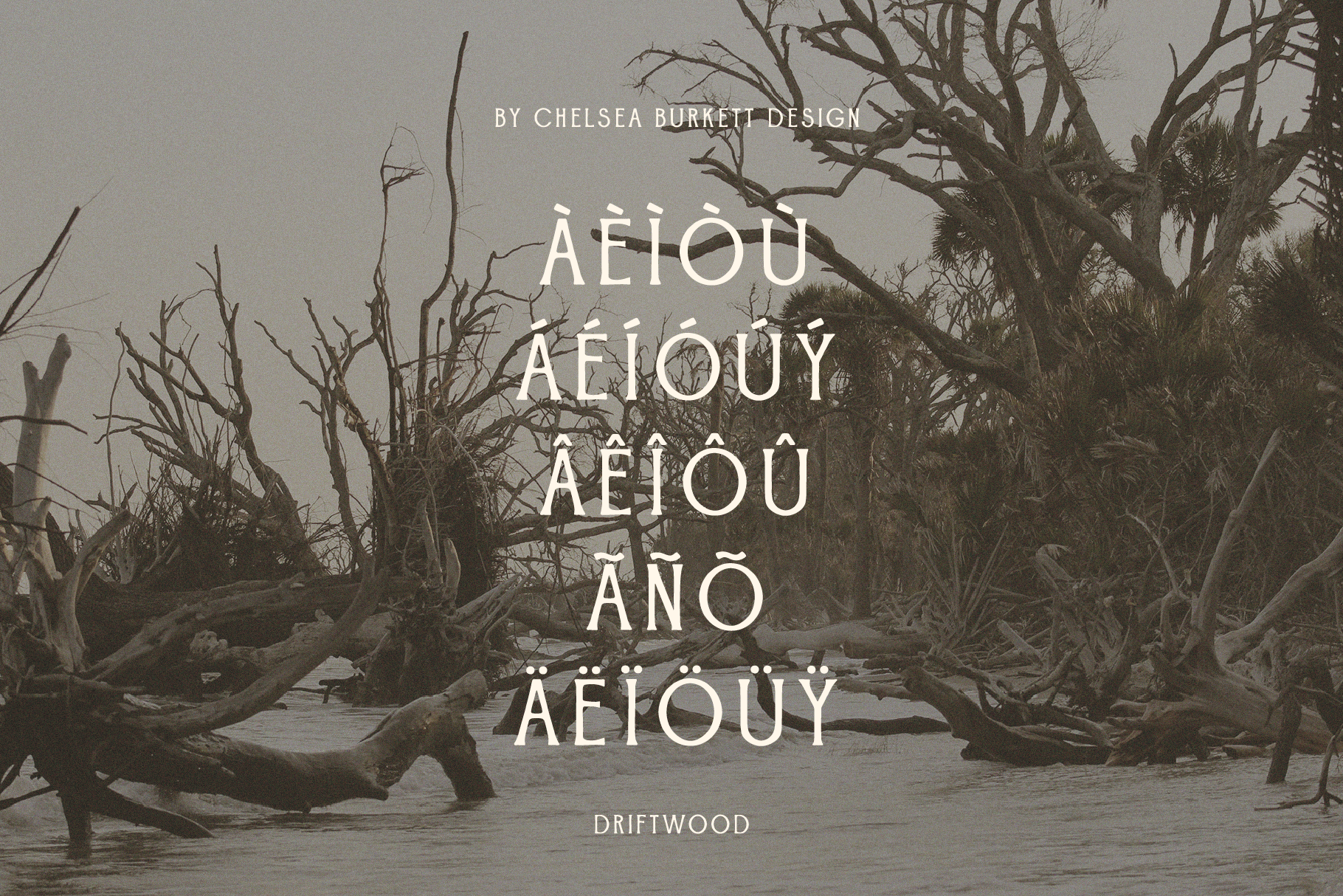 Driftwood_font_slides-03.png