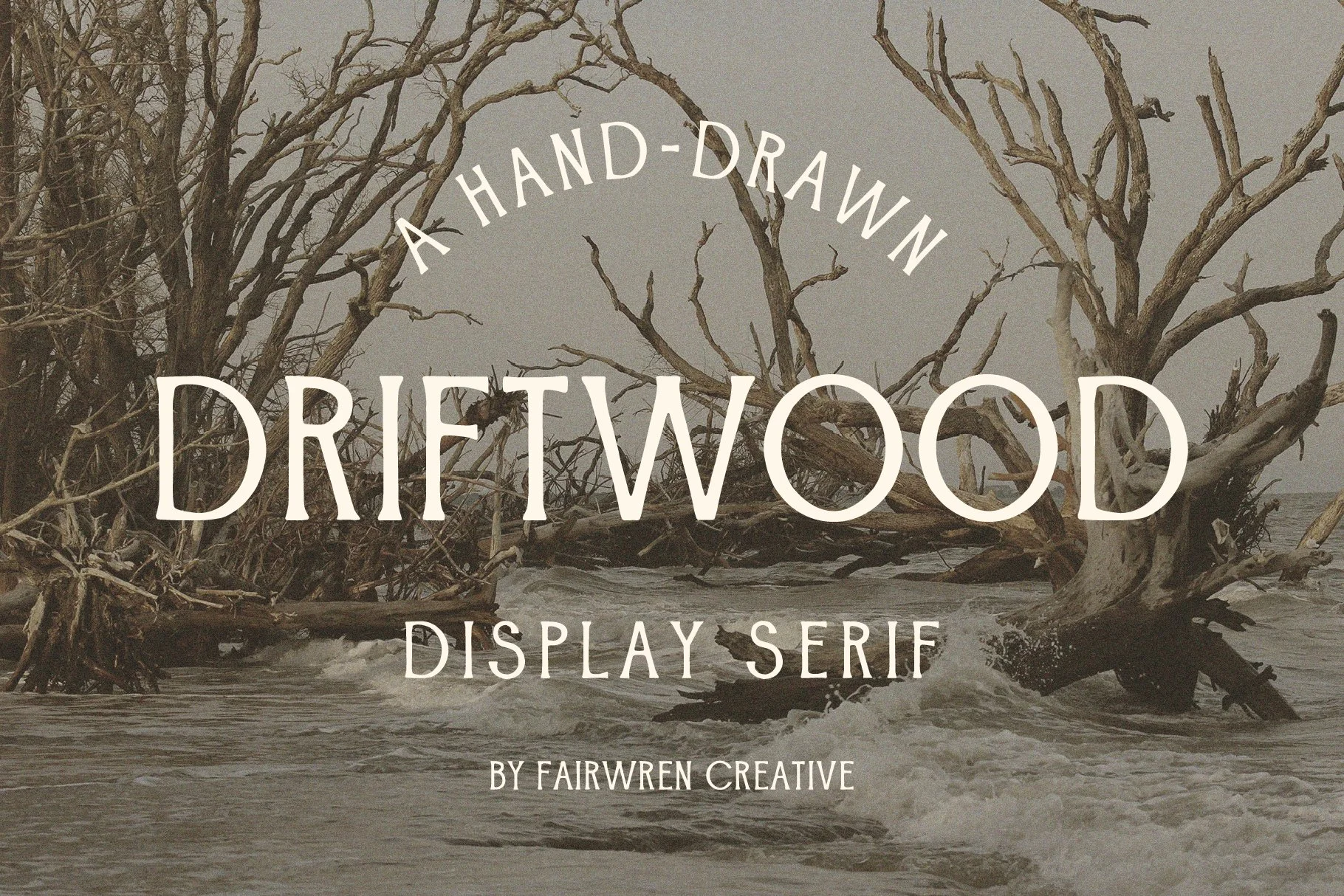 Driftwood_font_slides2-01.jpg