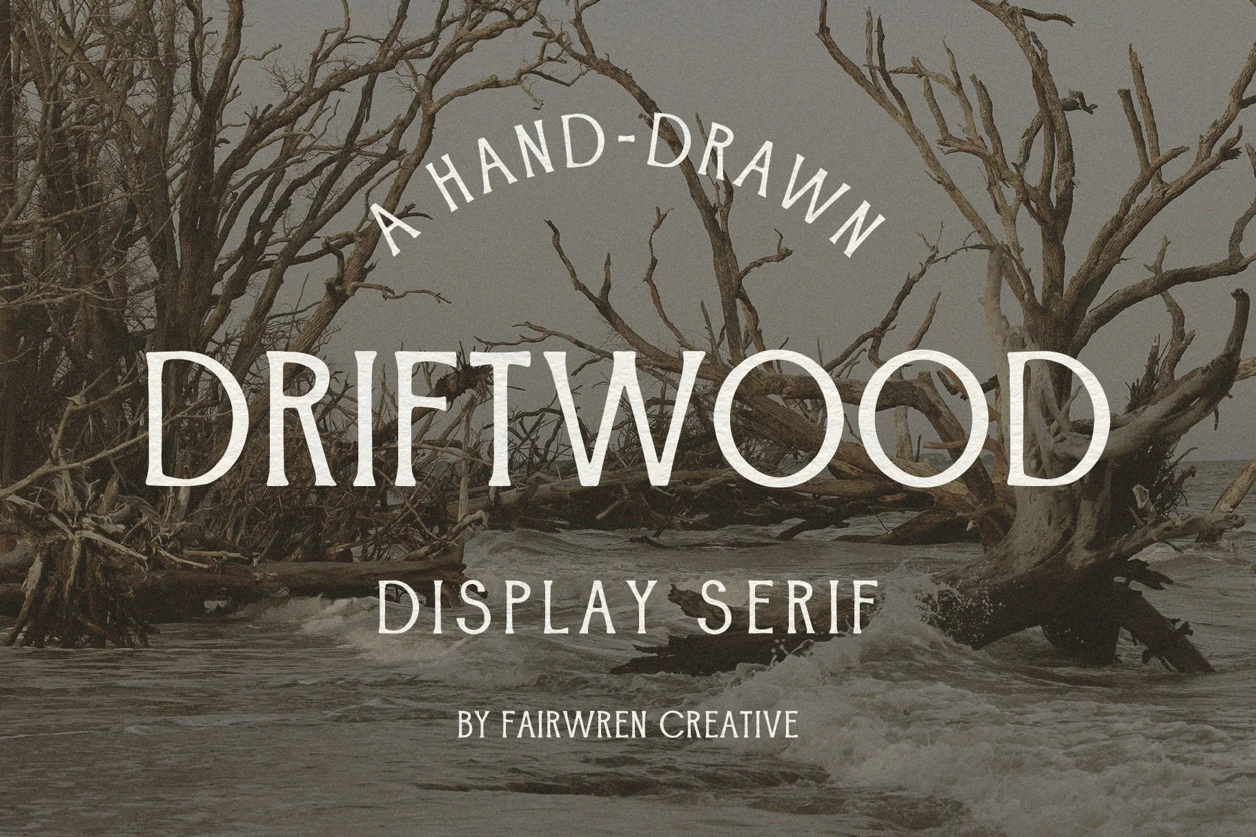 Driftwood_font_slides2-01.jpg