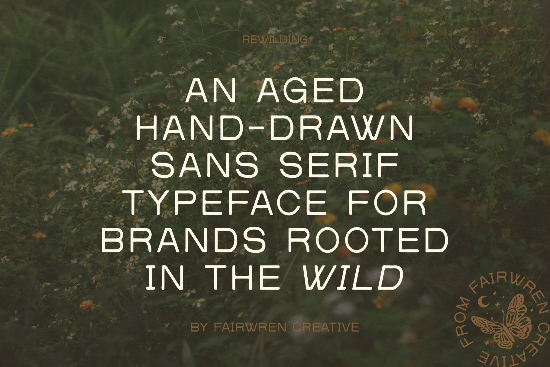 Rewilding_font_slides-05.jpg