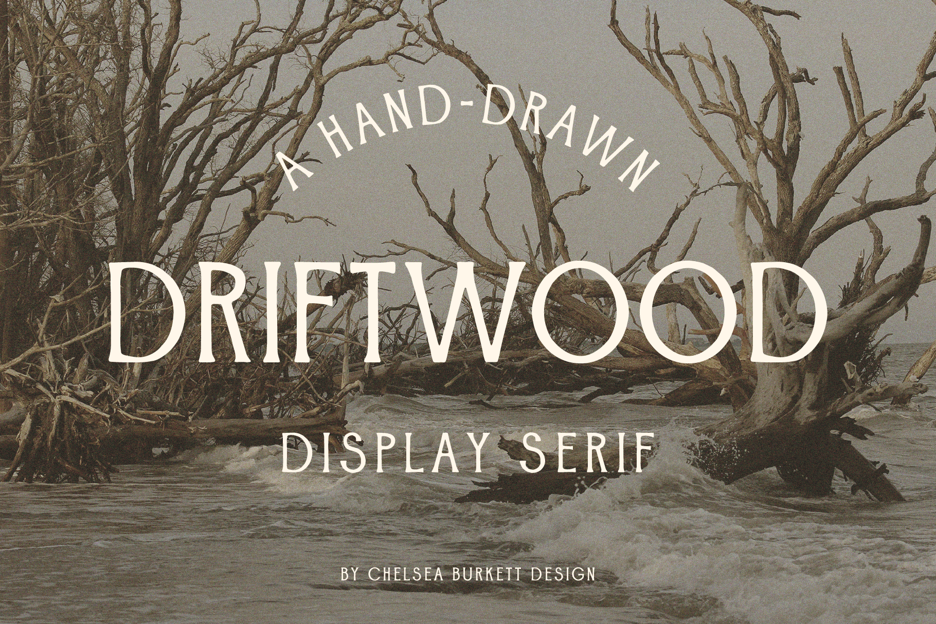 Driftwood_font_slides2-01.png