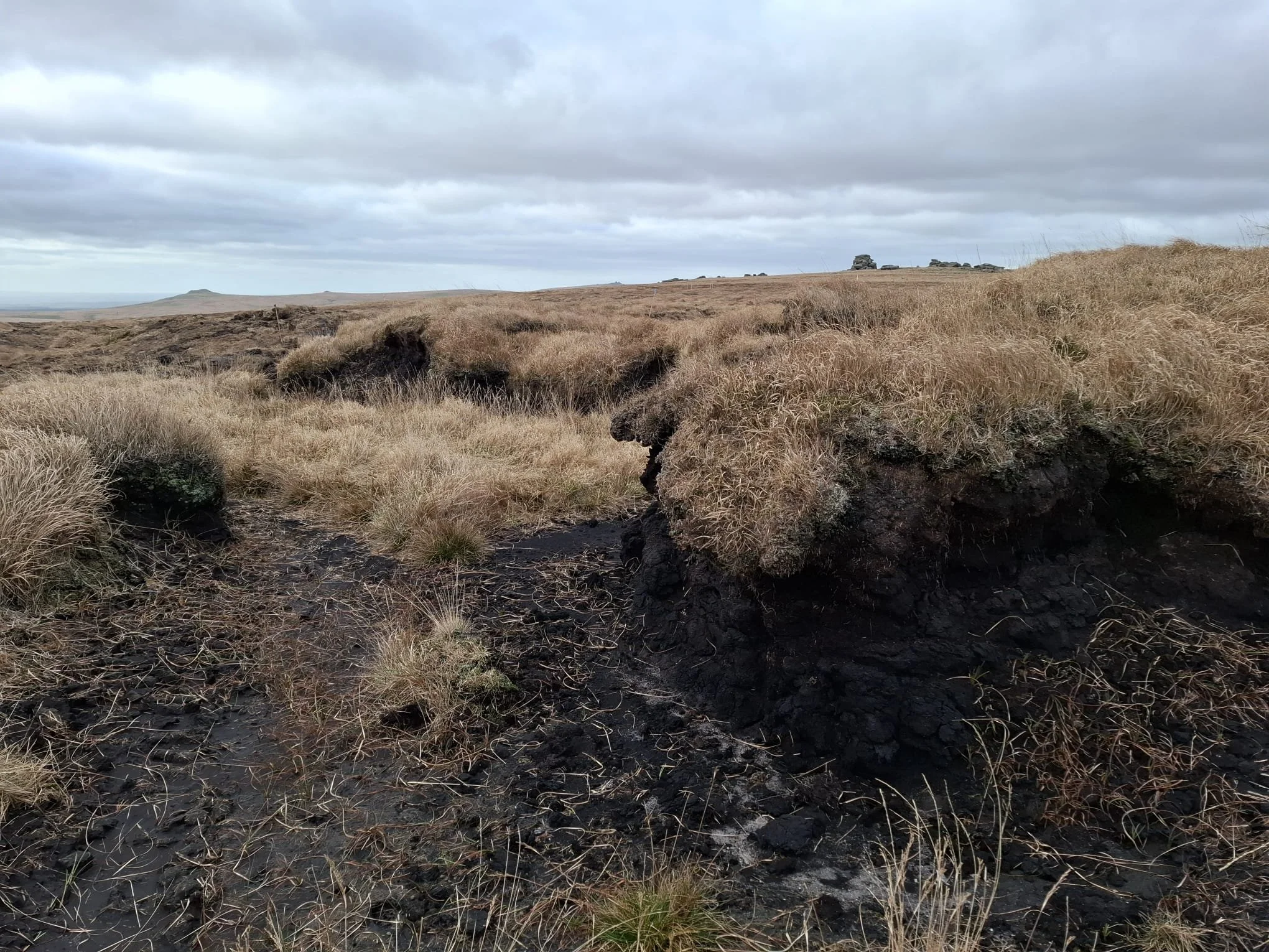 WhatsApp Image 2024-11-14 at 11.47.25.jpeg