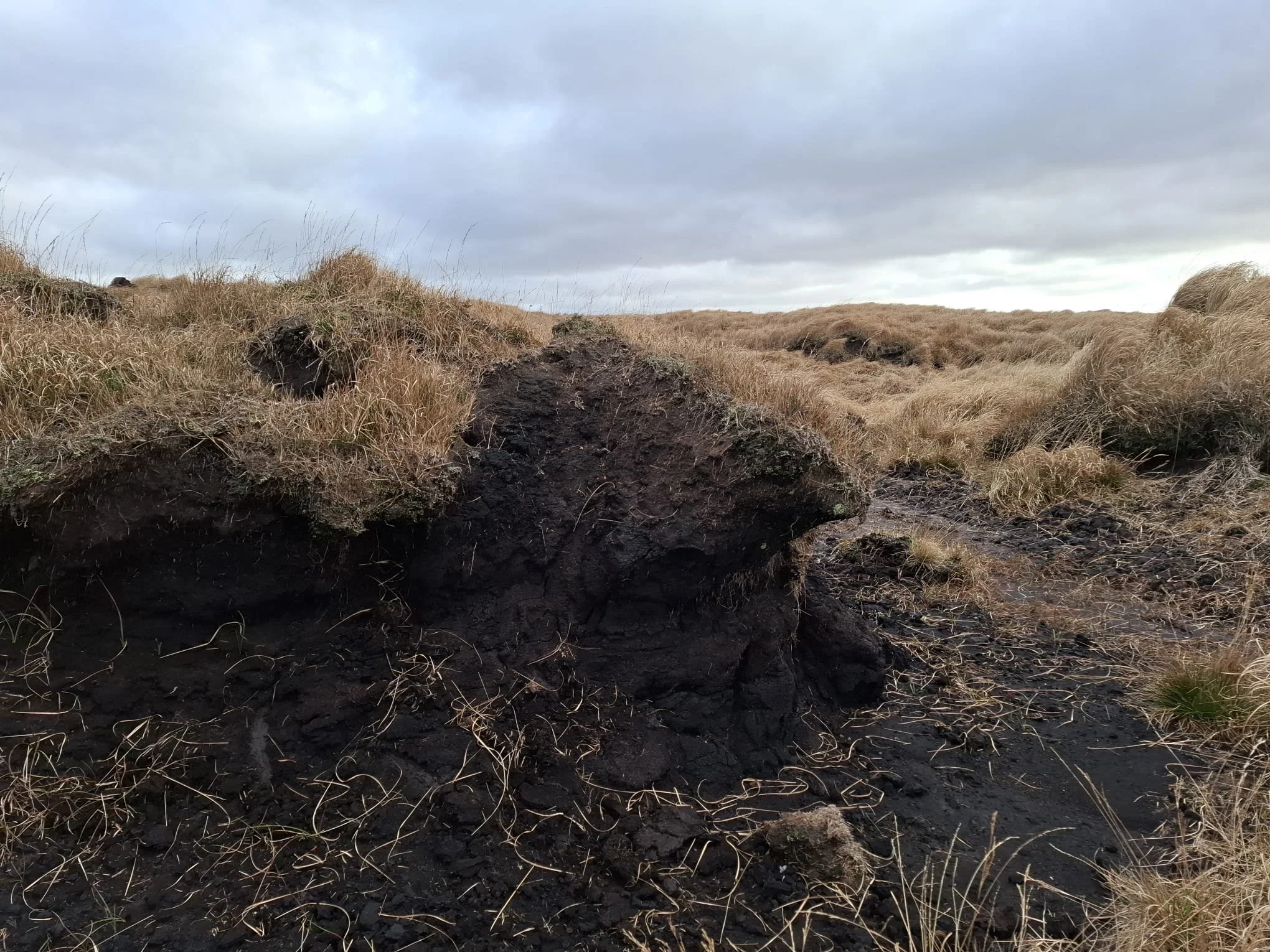 WhatsApp Image 2024-11-14 at 11.47.24.jpeg