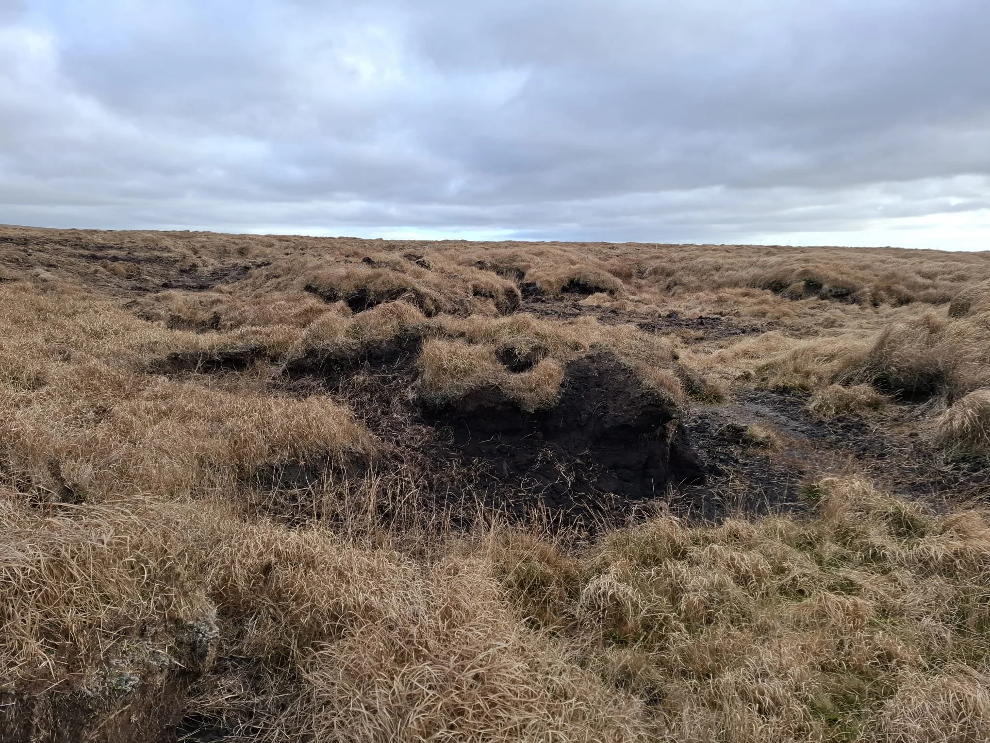 WhatsApp Image 2024-11-14 at 11.47.23.jpeg