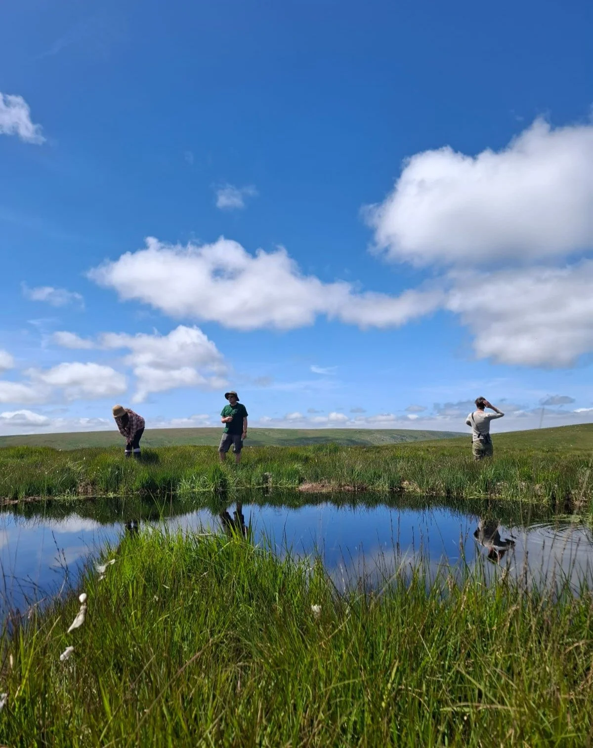 Hundreds and hundreds of dragonflies, damselflies, frogs, newts and whirlygigs were spotted by our team and volunteers yesterday out on North Dartmoor in the sunshine.

We identified many different species, from four spotted chasers to keeled skimmer