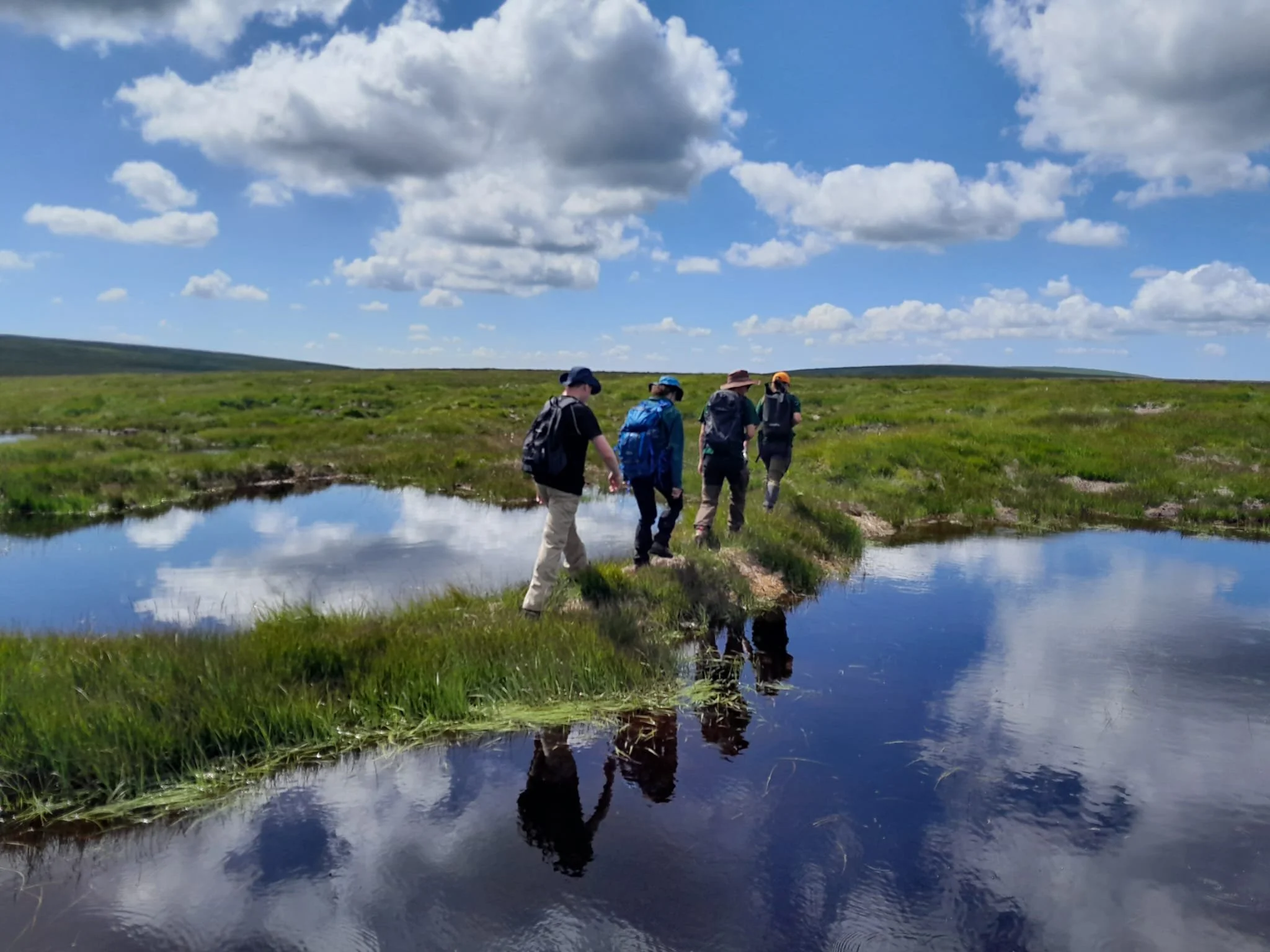 Protecting reptiles during restoration