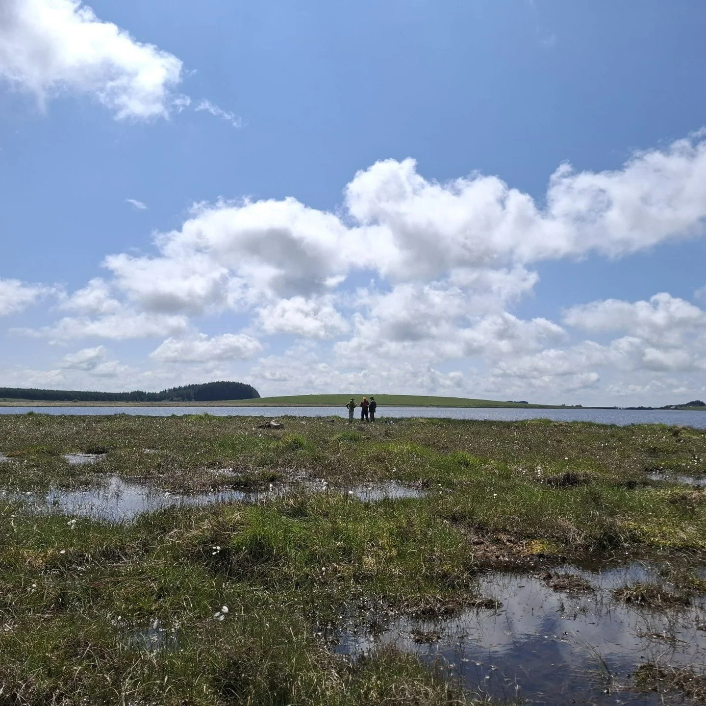 The restoration pools are buzzing with breeding bug-life, the diggers are back out on the moor for the season, and we're chatting to lots of lovely people at local shows this week.

It's a good time to be working in peatland restoration 🌞

Thank you