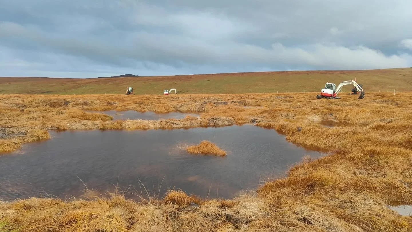 This week&rsquo;s view: low-ground pressure machinery shaping peat bunds on North Dartmoor&rsquo;s Kneeset slopes. 

This helps to slow water flow, raise and stabilise the water table within the degrading peat, and help peat-forming sphagnum mosses t