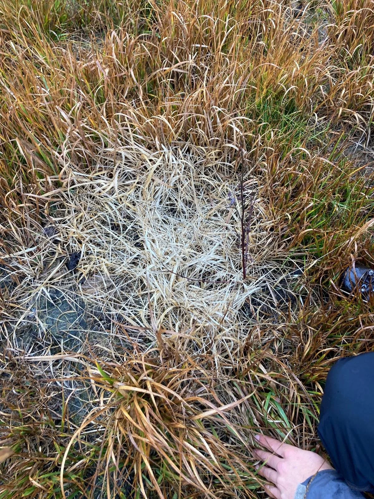 WhatsApp Image 2025-10-23 at 15.46.42.jpeg