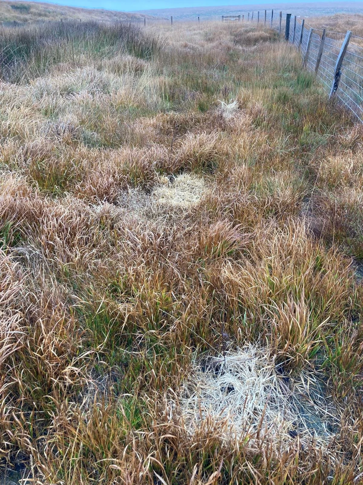 WhatsApp Image 2025-10-23 at 15.46.55.jpeg