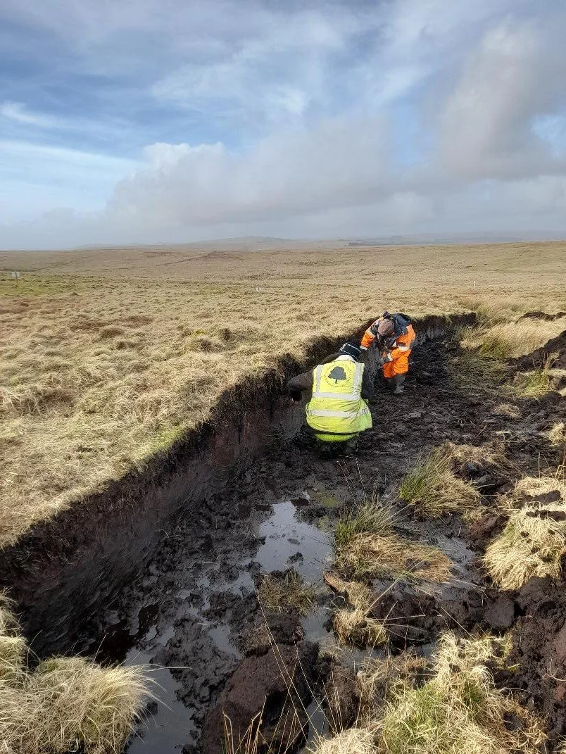 Our top takeaway moments from 2025