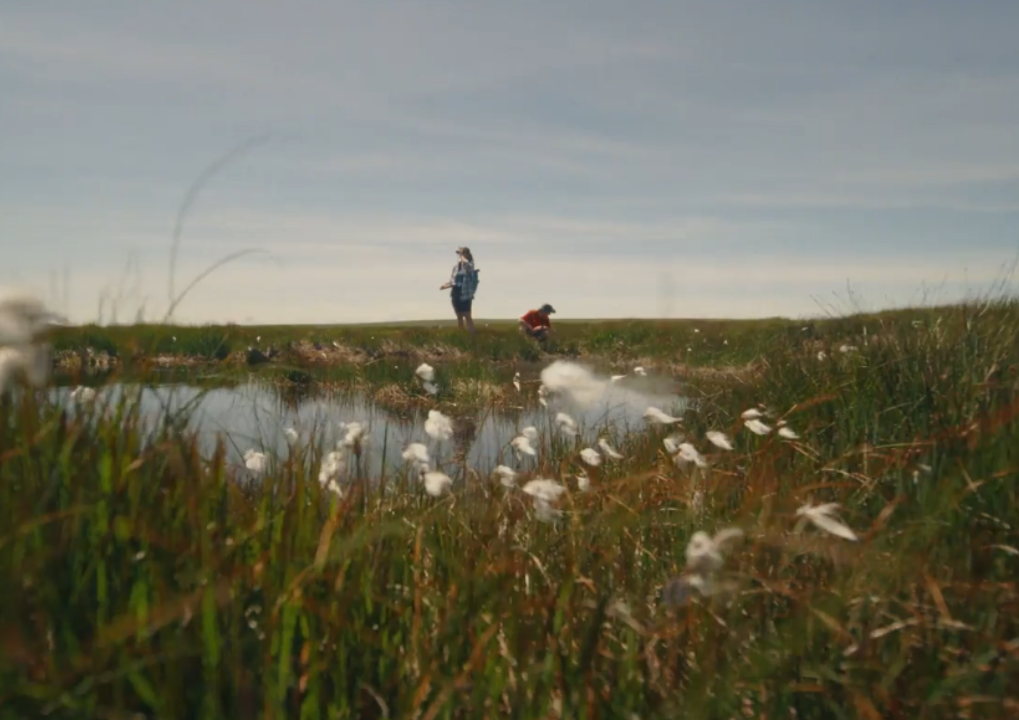 The Living Layer:Our new film