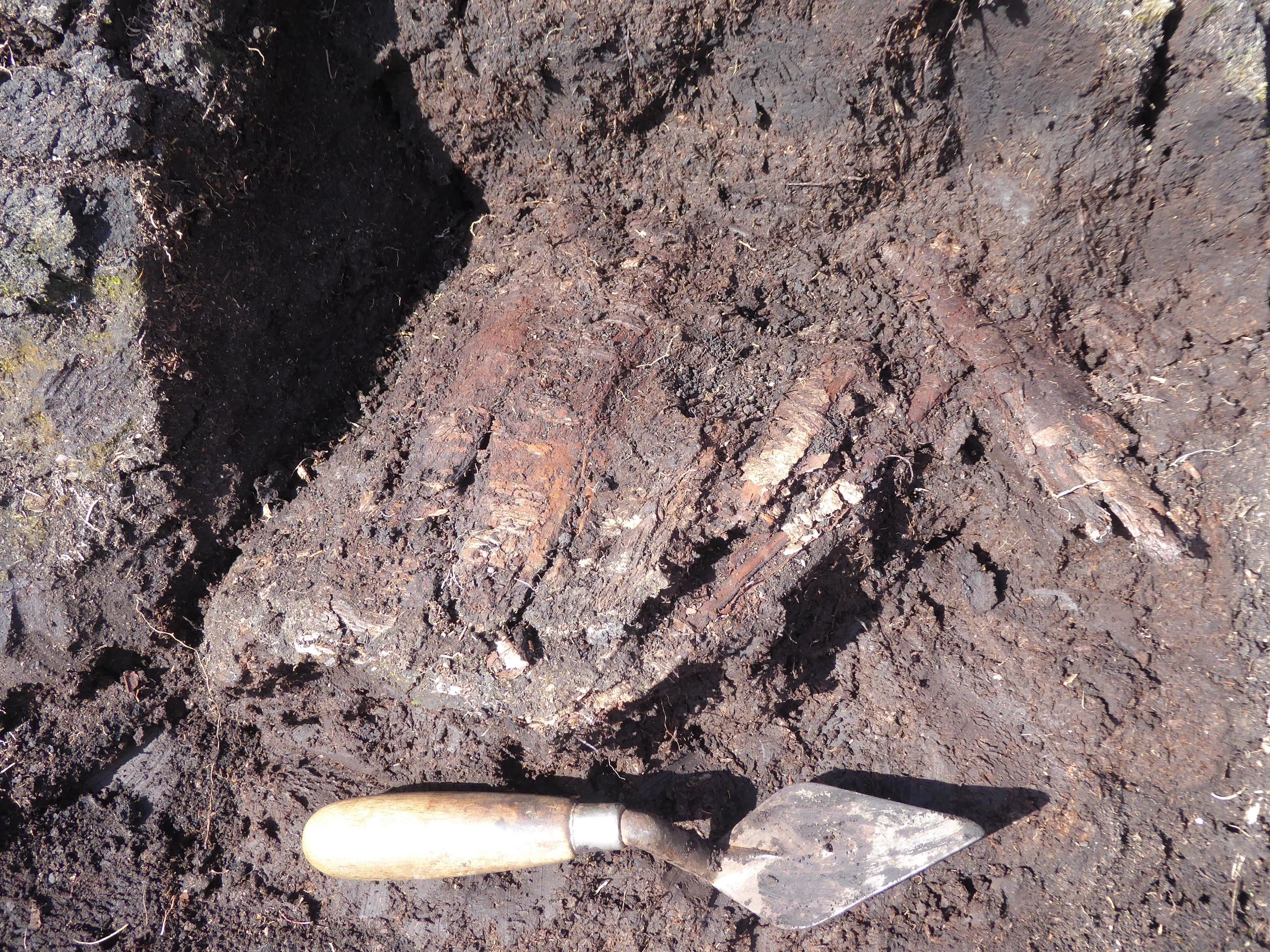 The archaeology of peatlands: a resource under threat