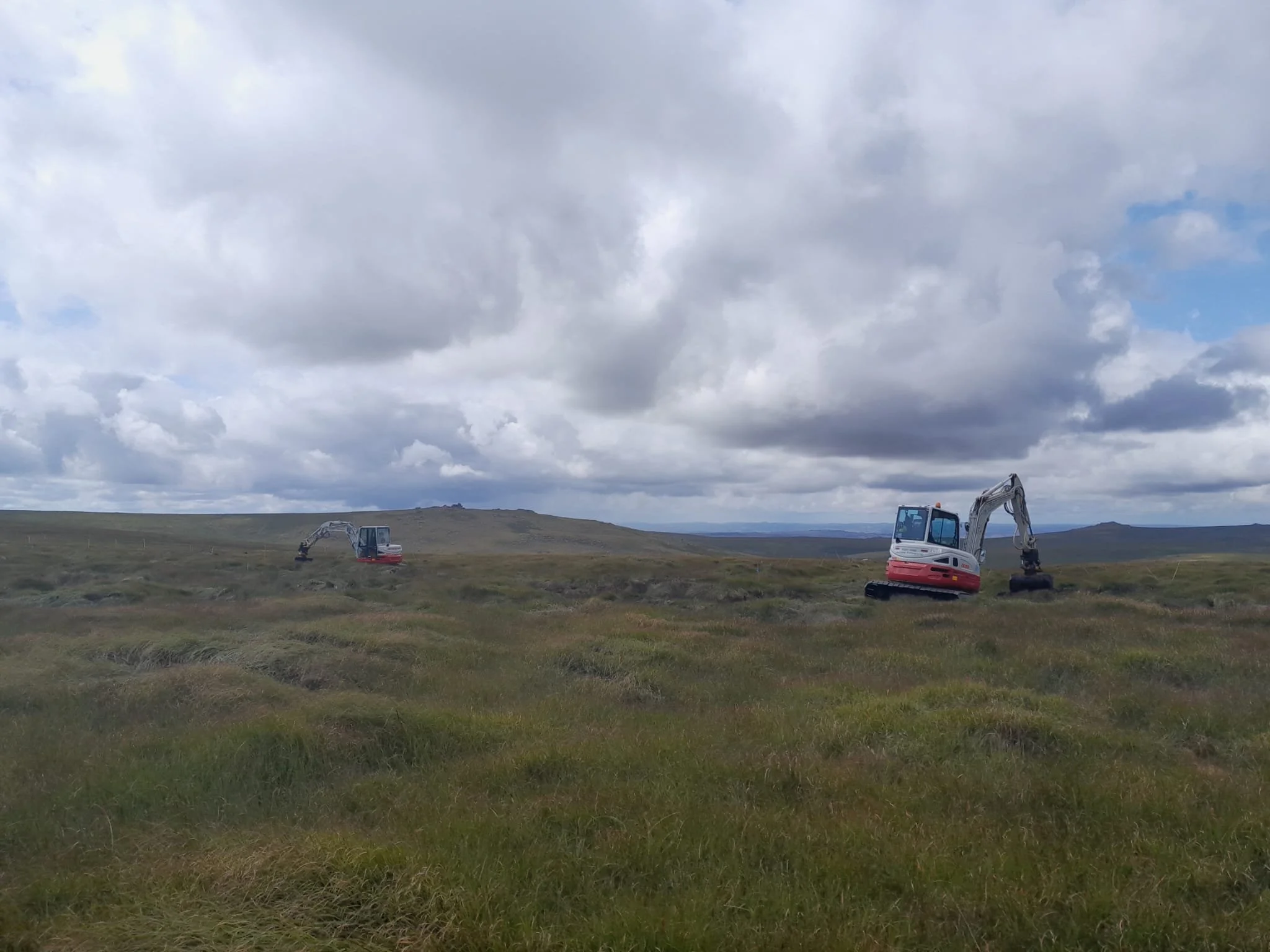 Behind the SWPP carbon audit report
