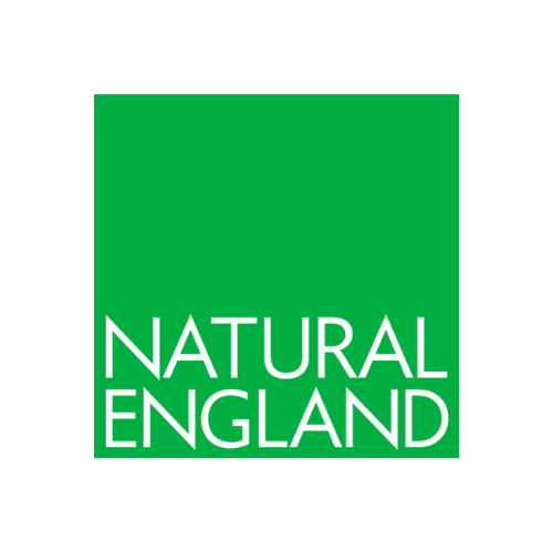 Natural England logo, writing in white on a green square background