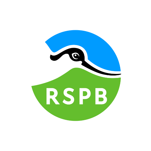 RSPB logo, with an avocet head on a green and blue background