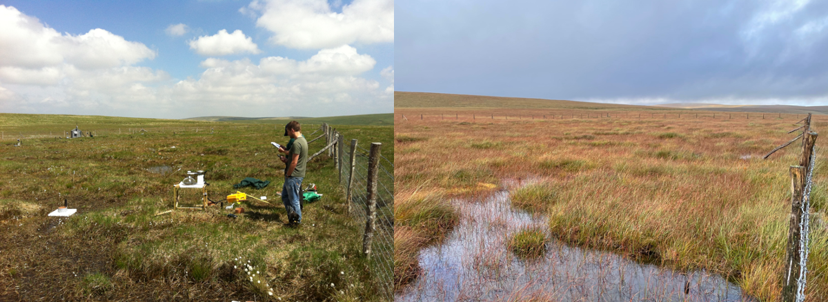 New report from Exeter University on the progress of peat restoration on Dartmoor