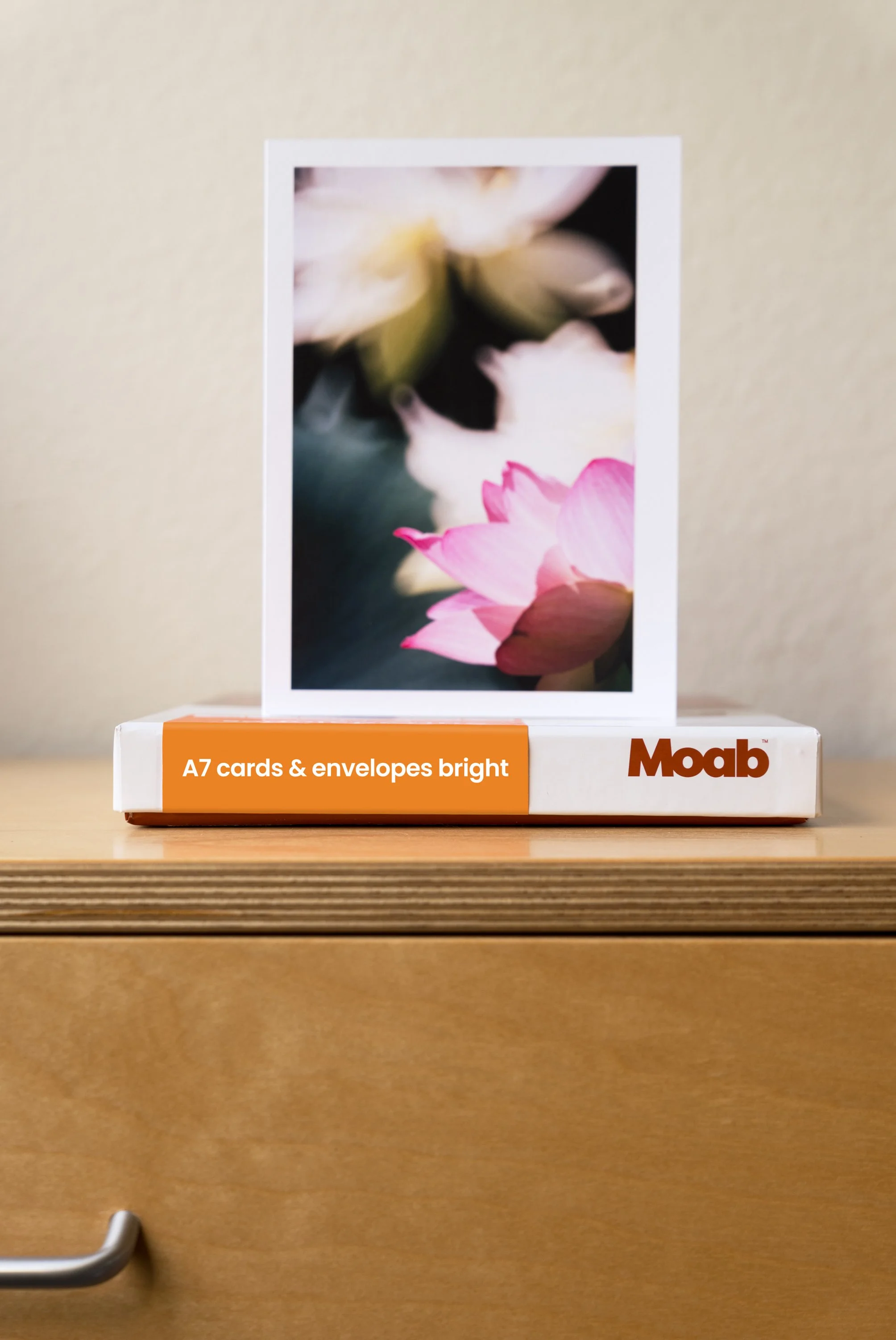 Moab Stephen_Vanasco_Moab_Artist_Cards_Lifestyle4.jpg