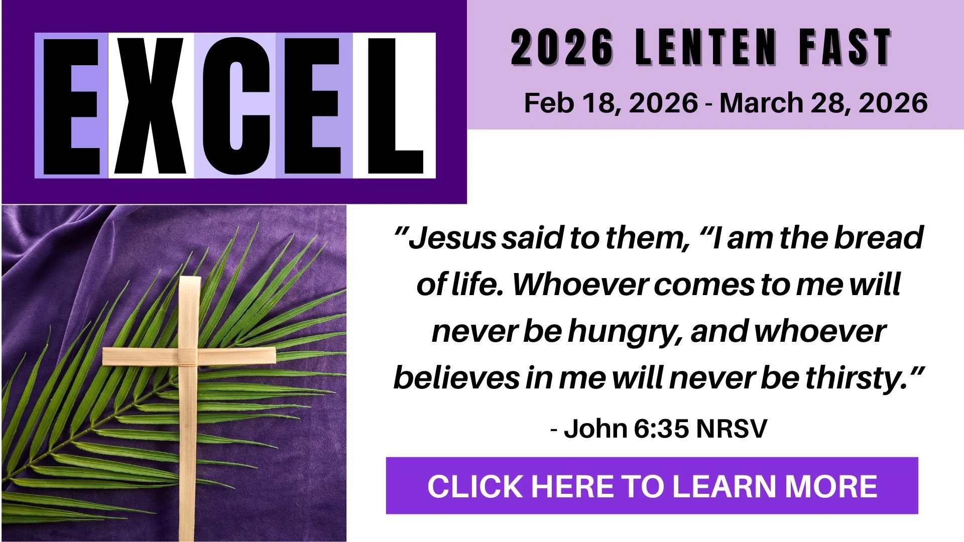 NEW ZOOM INFO PLUS EXCEL FAST GRAPHIC.jpg