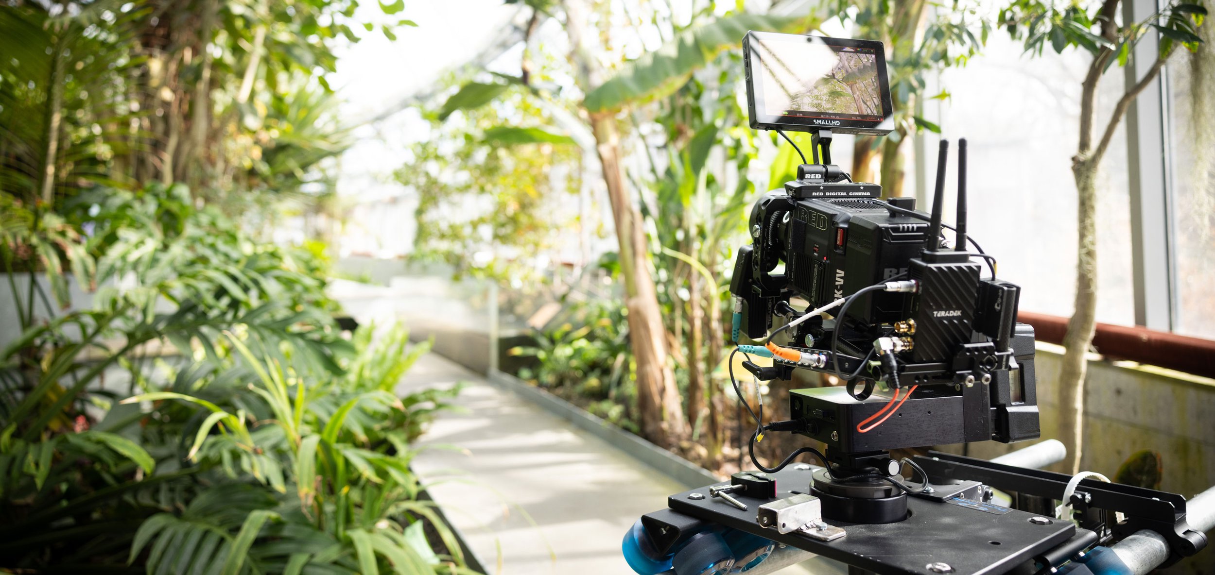 Video-Production-Company-Blog.jpg