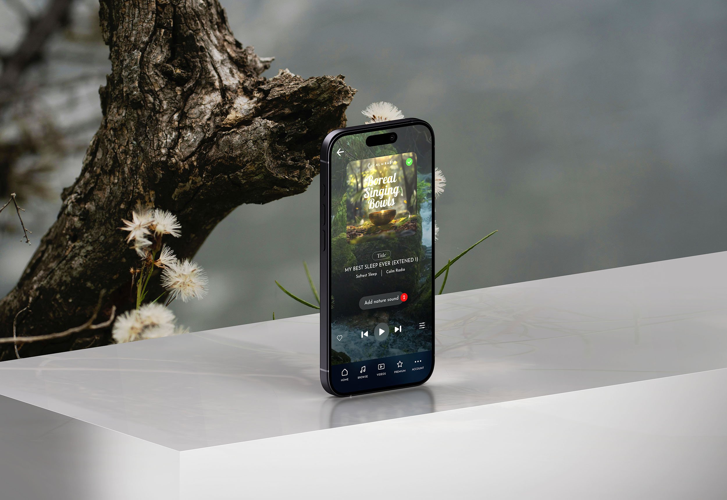 music player_new.jpg