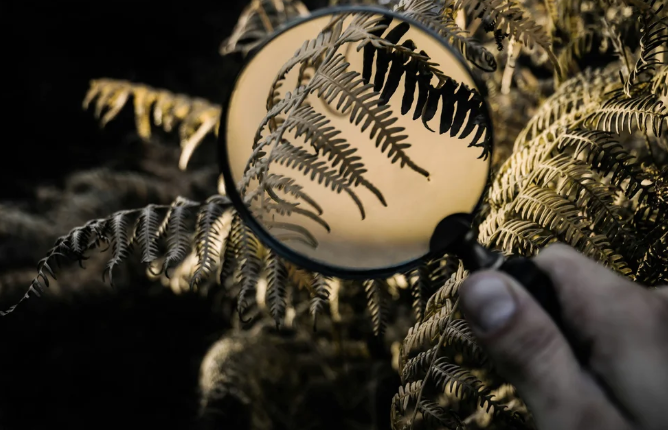 10 Tips to Get Neurodivergent Hyperfocus to Work for You