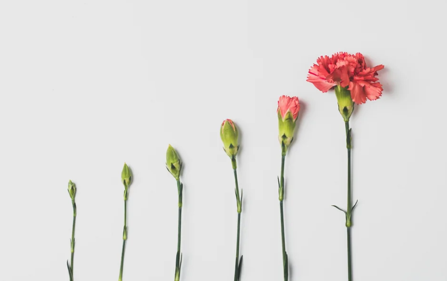 Standing Up for Yourself as an AUDHD Person When You’re Expected to Fall in Line and Mask